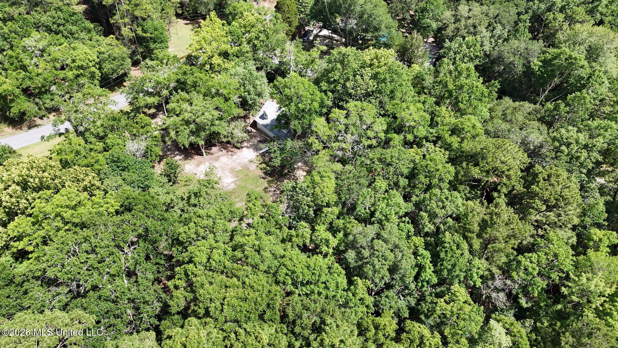 5900 Brown Road Property Photo 19