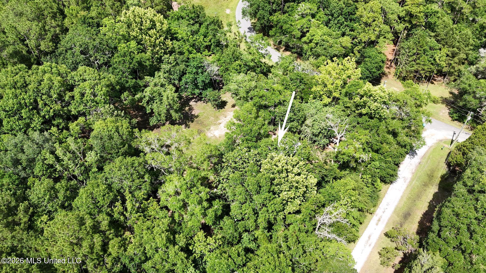 5900 Brown Road Property Photo 17