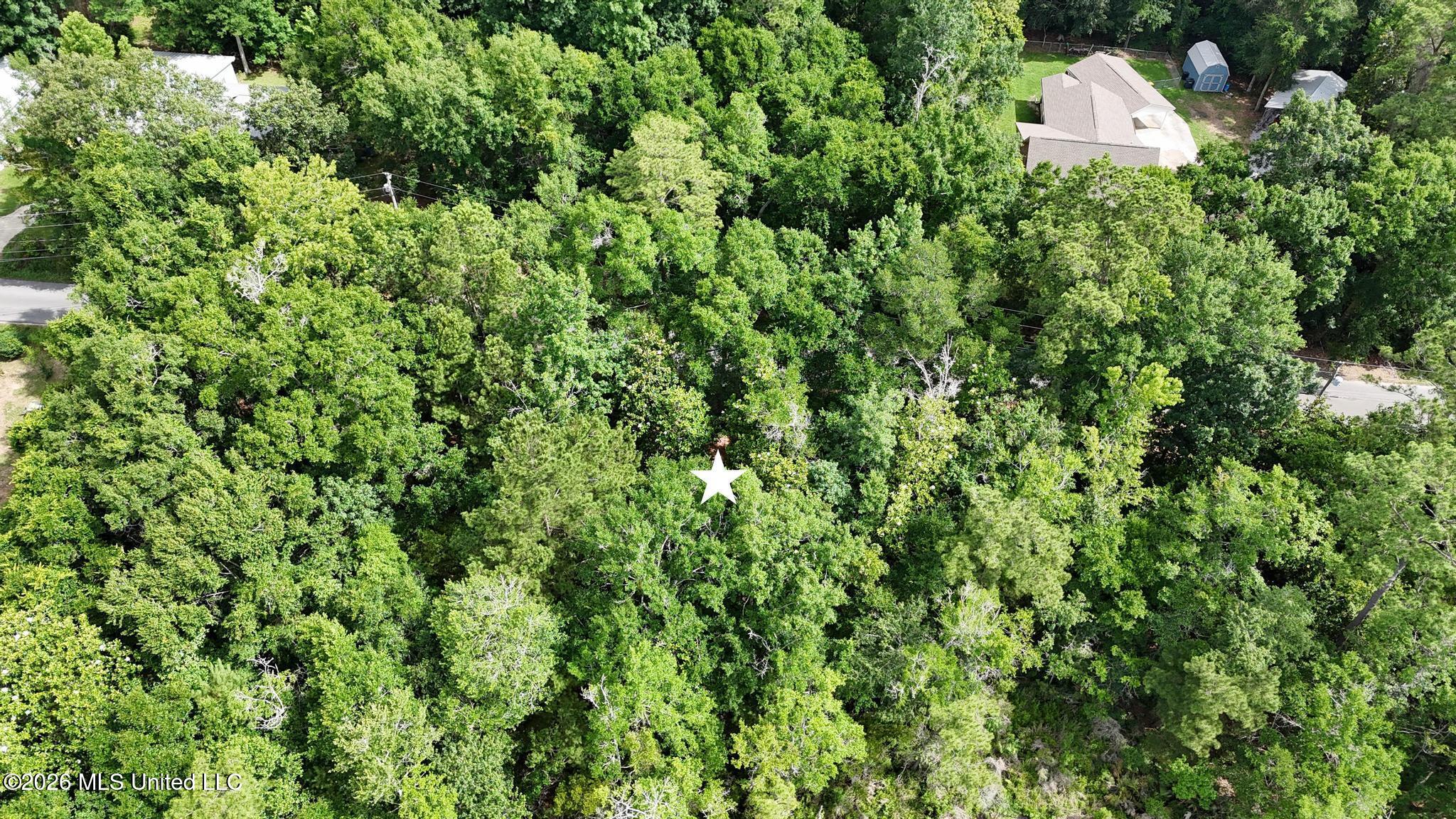 Dogwood Avenue Property Photo 5