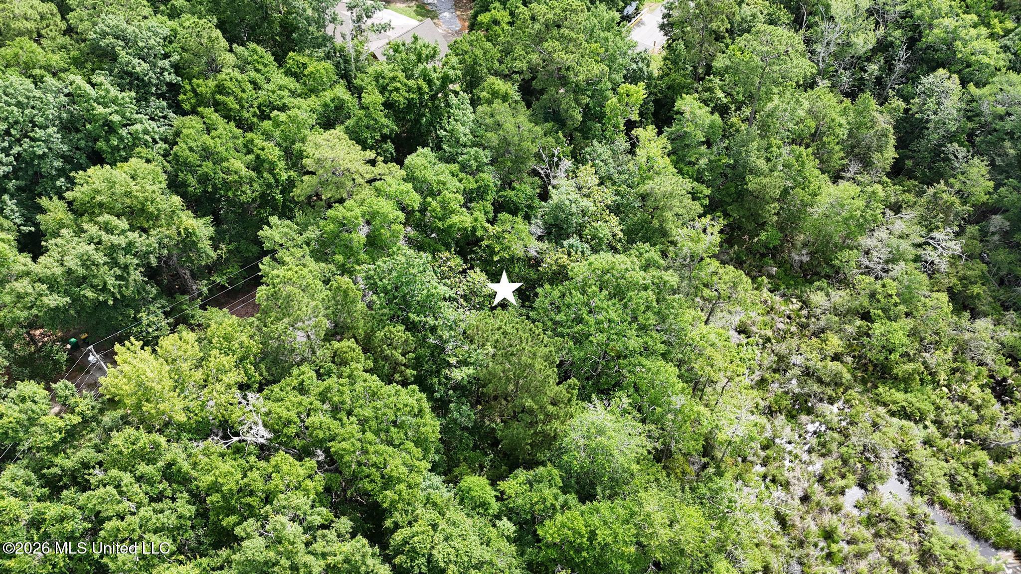 Dogwood Avenue Property Photo 6
