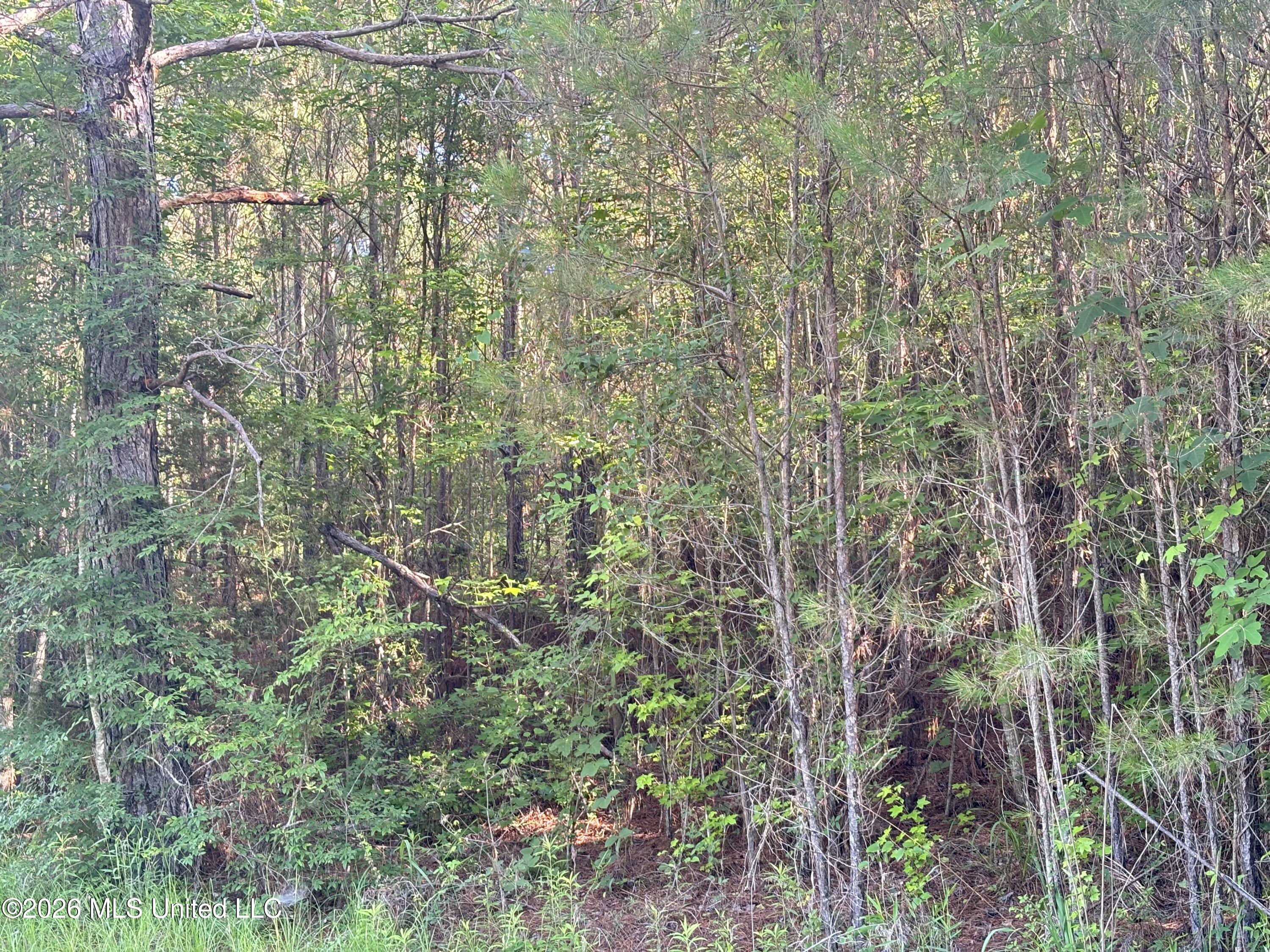 0 Shelby Road Property Photo 2