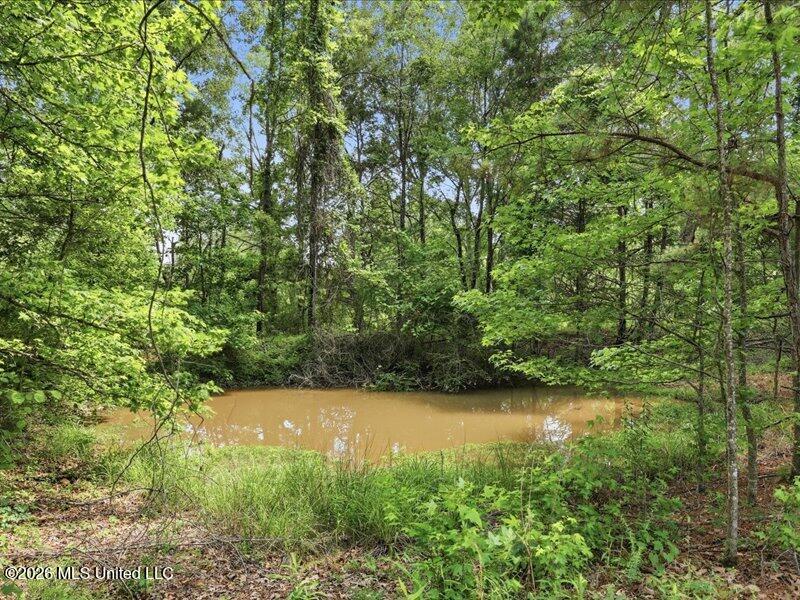 4525 N Midway Property Photo 16