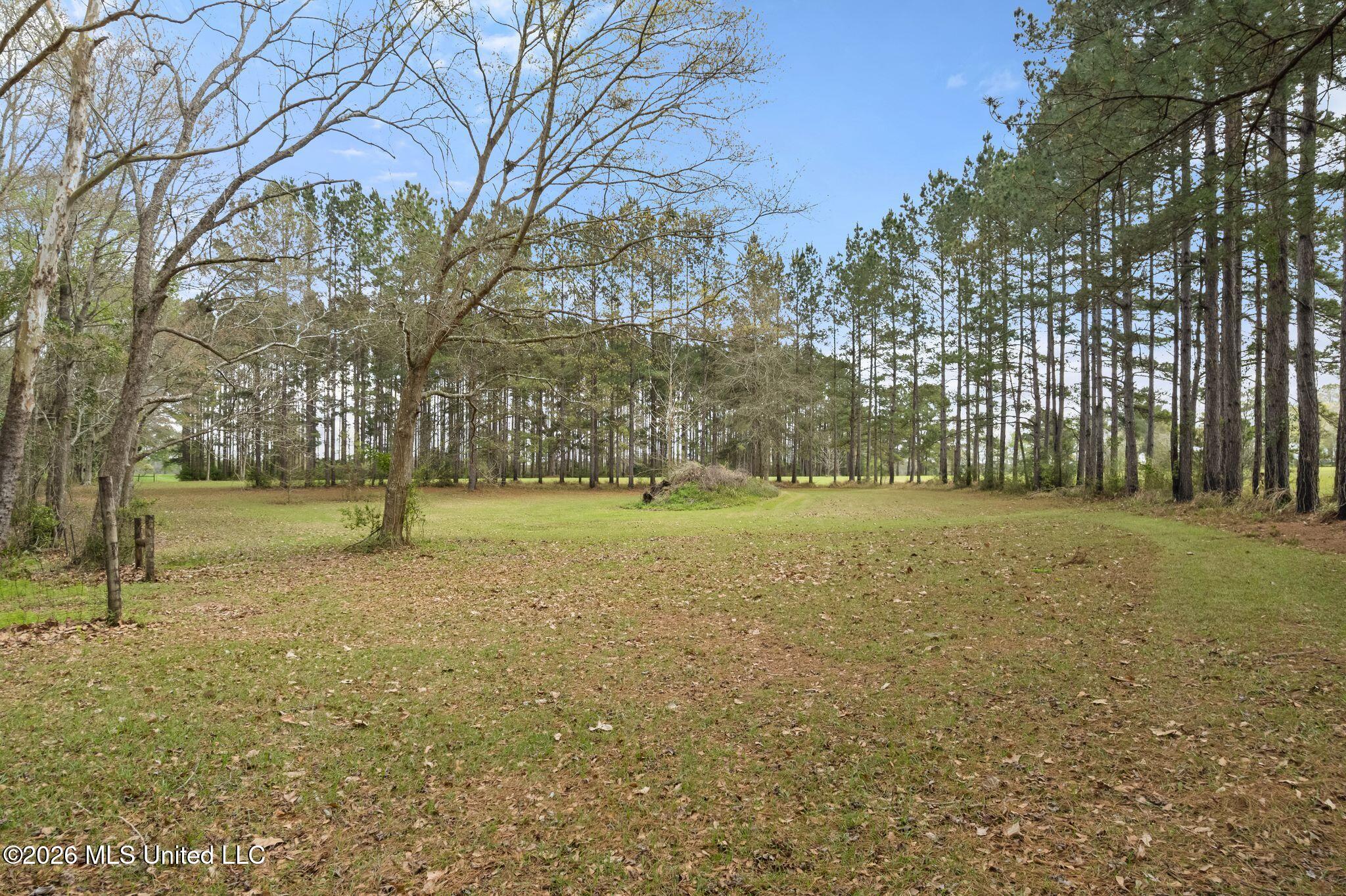 00 Highway 53 Property Photo 6
