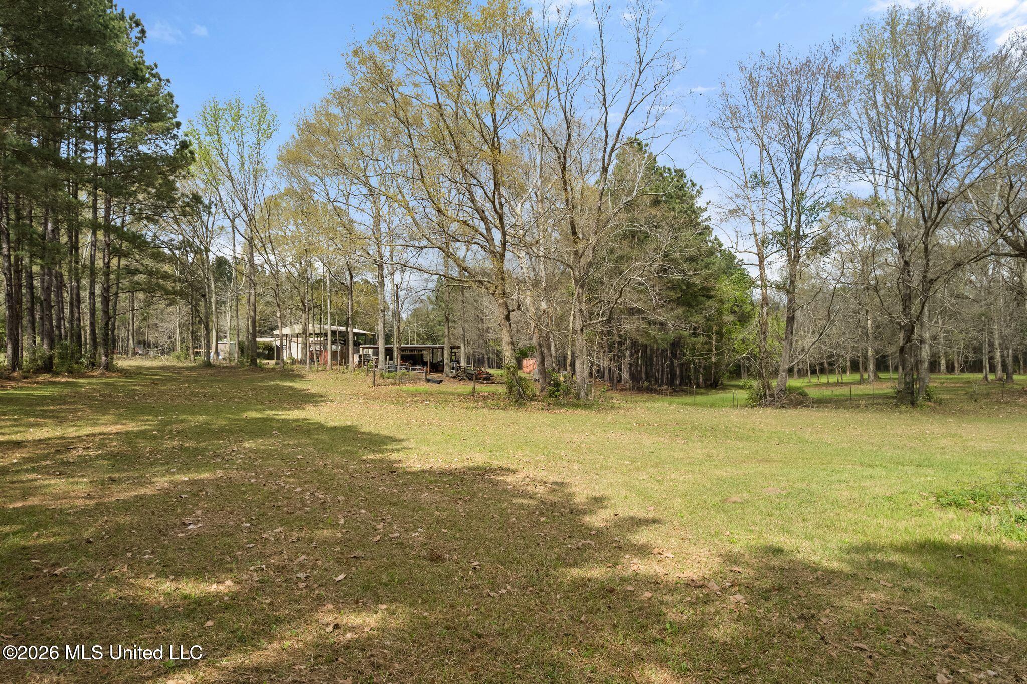 00 Highway 53 Property Photo 7