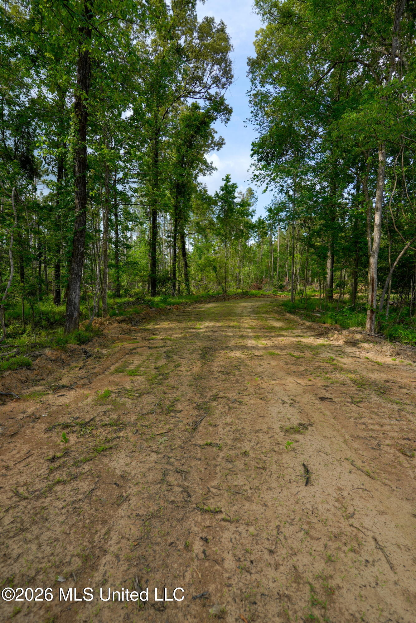 Lorance Road Property Photo 5