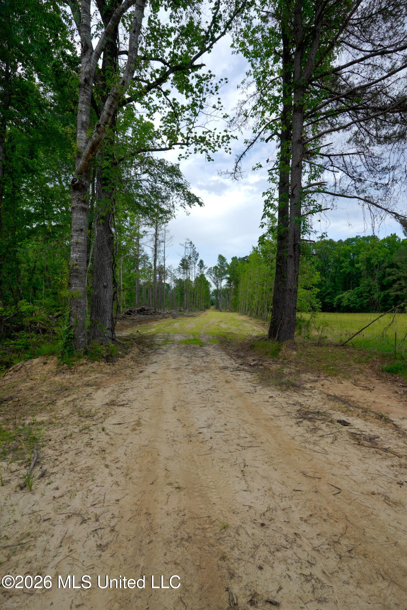 Lorance Road Property Photo 10