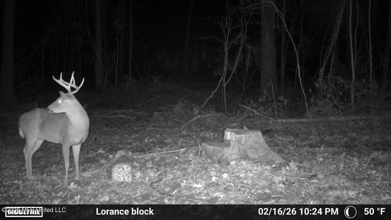 Lorance Road Property Photo 22