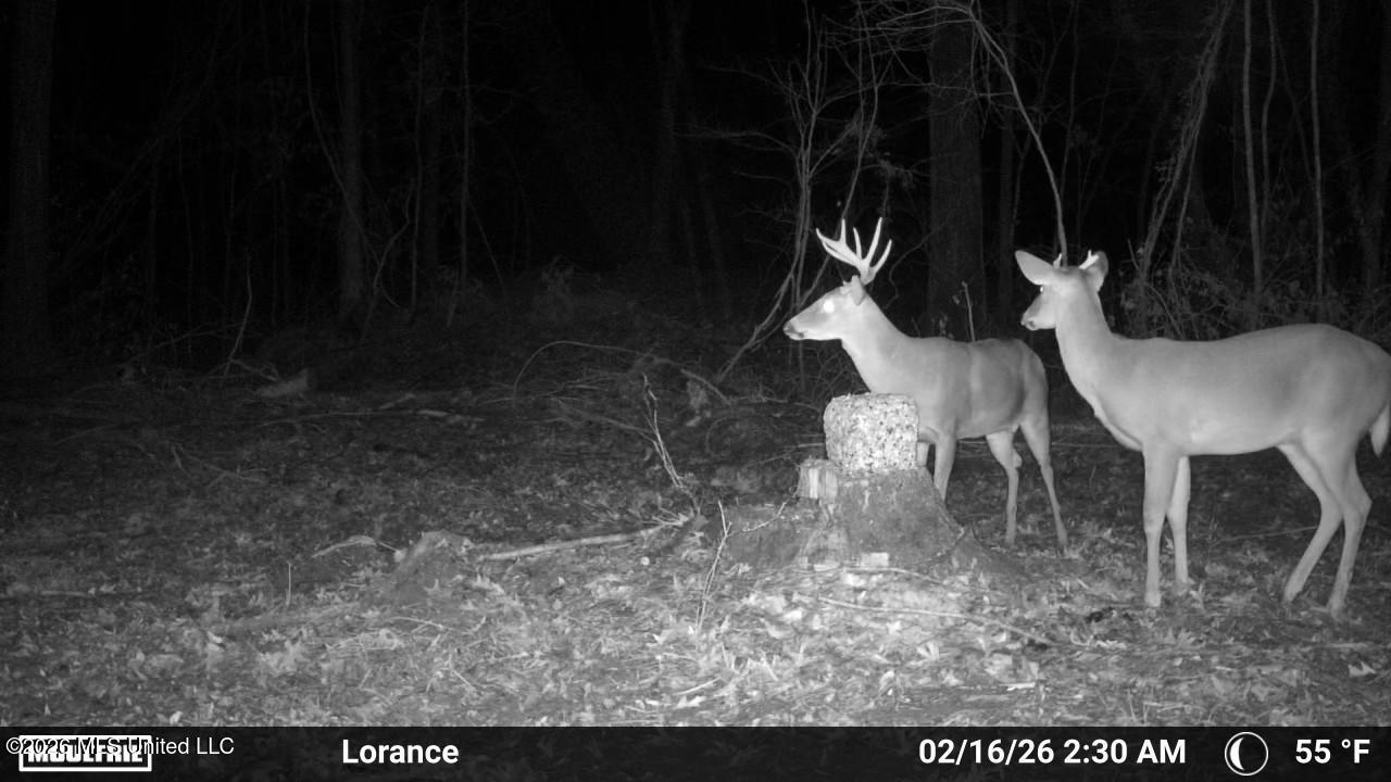 Lorance Road Property Photo 24