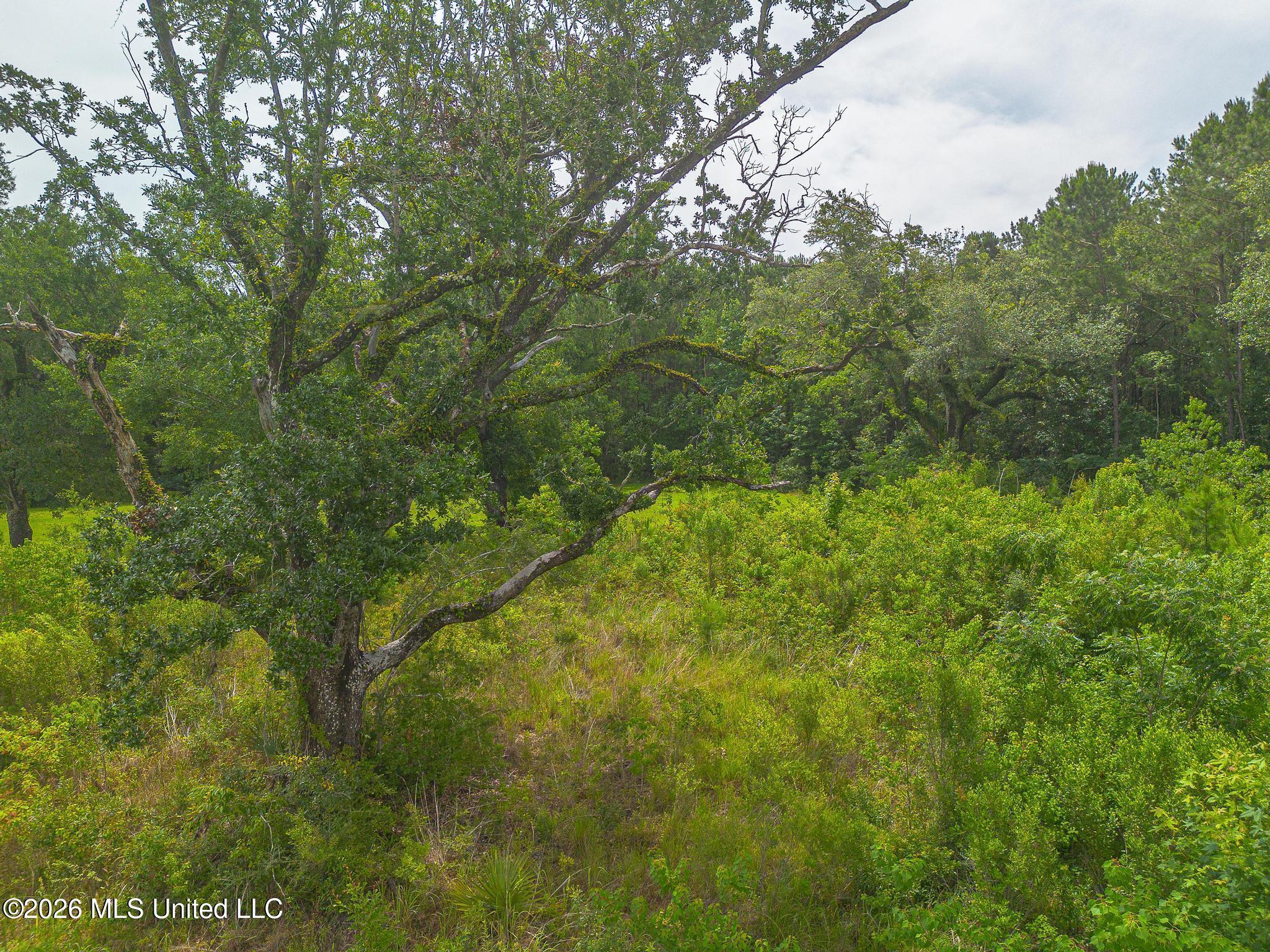 00 Oliver Street Property Photo 3
