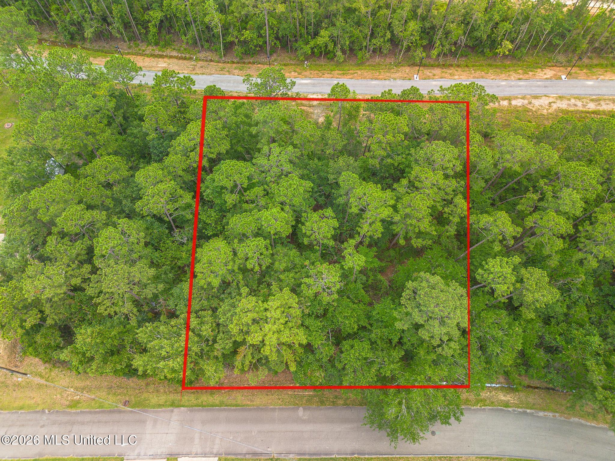 5624 Aila Street Property Photo 9