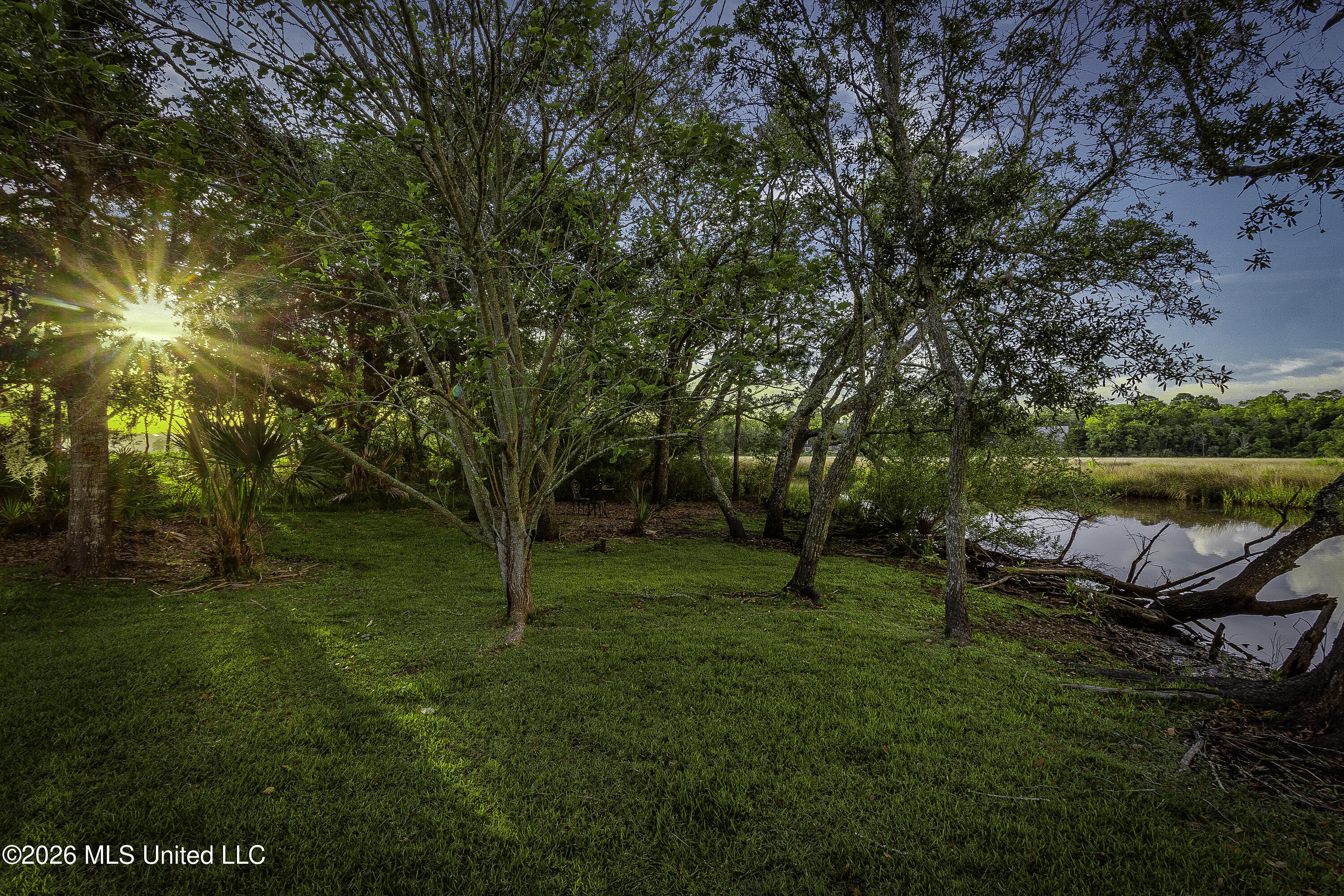 2804 Eagle Pine Drive Property Photo 14