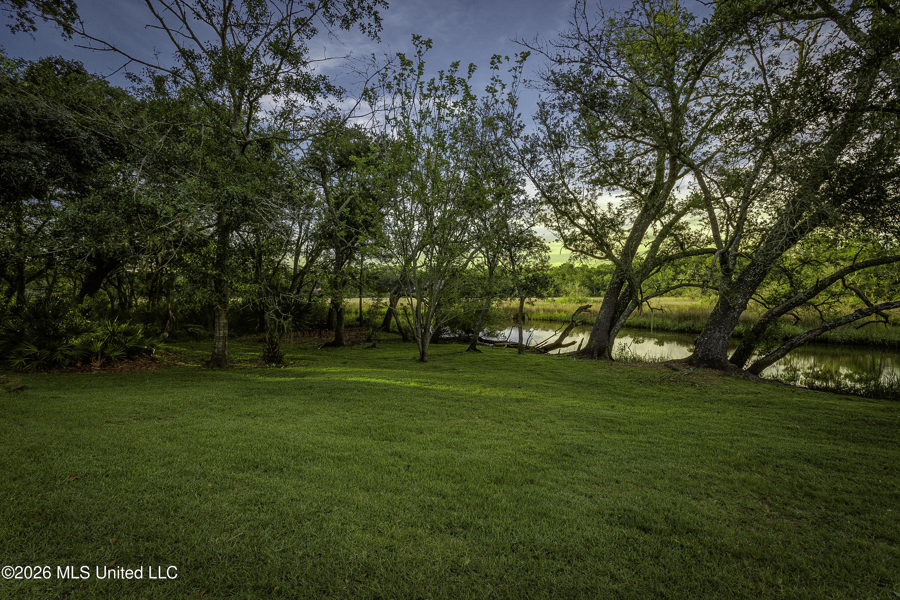 2804 Eagle Pine Drive Property Photo 16