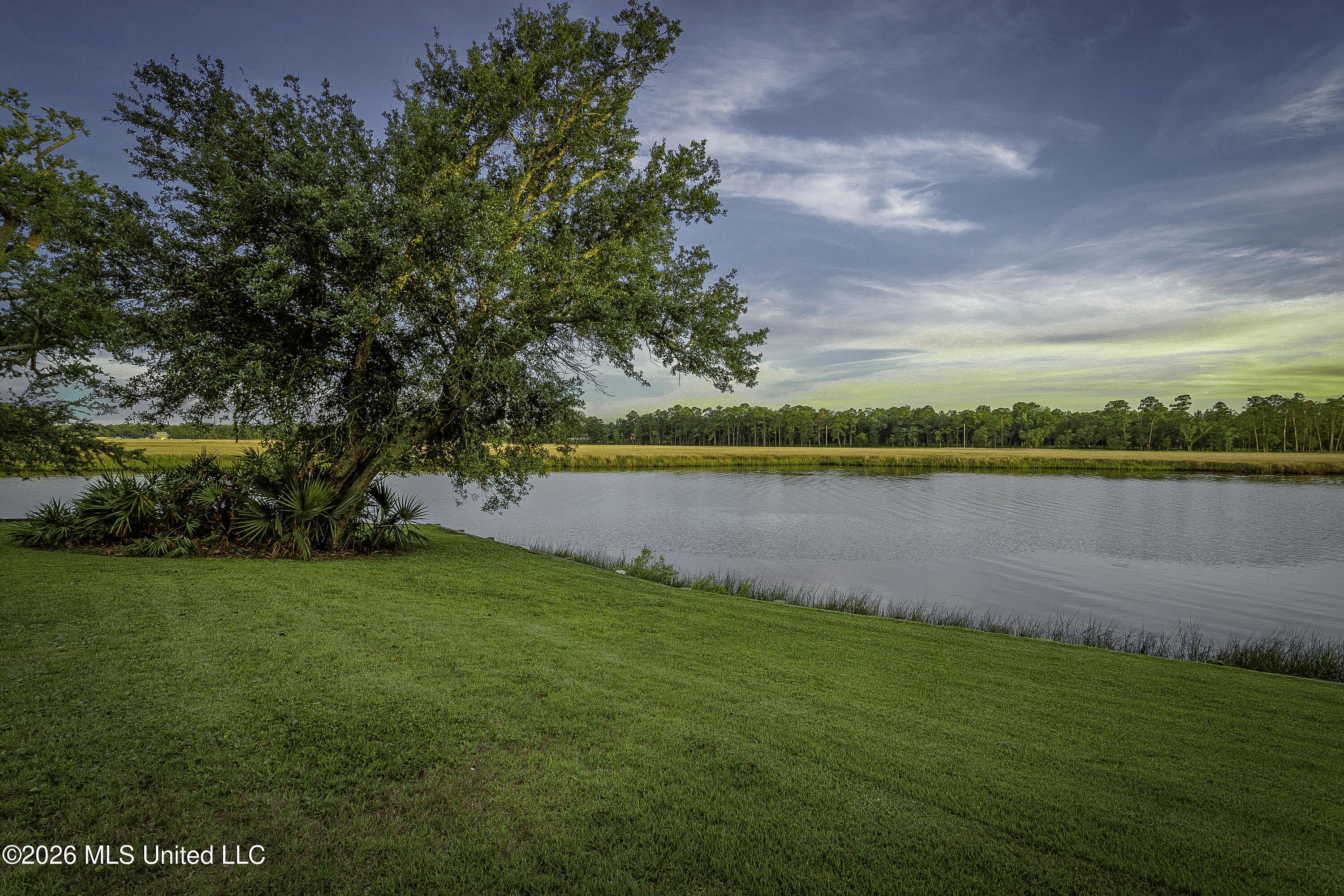 2804 Eagle Pine Drive Property Photo 38