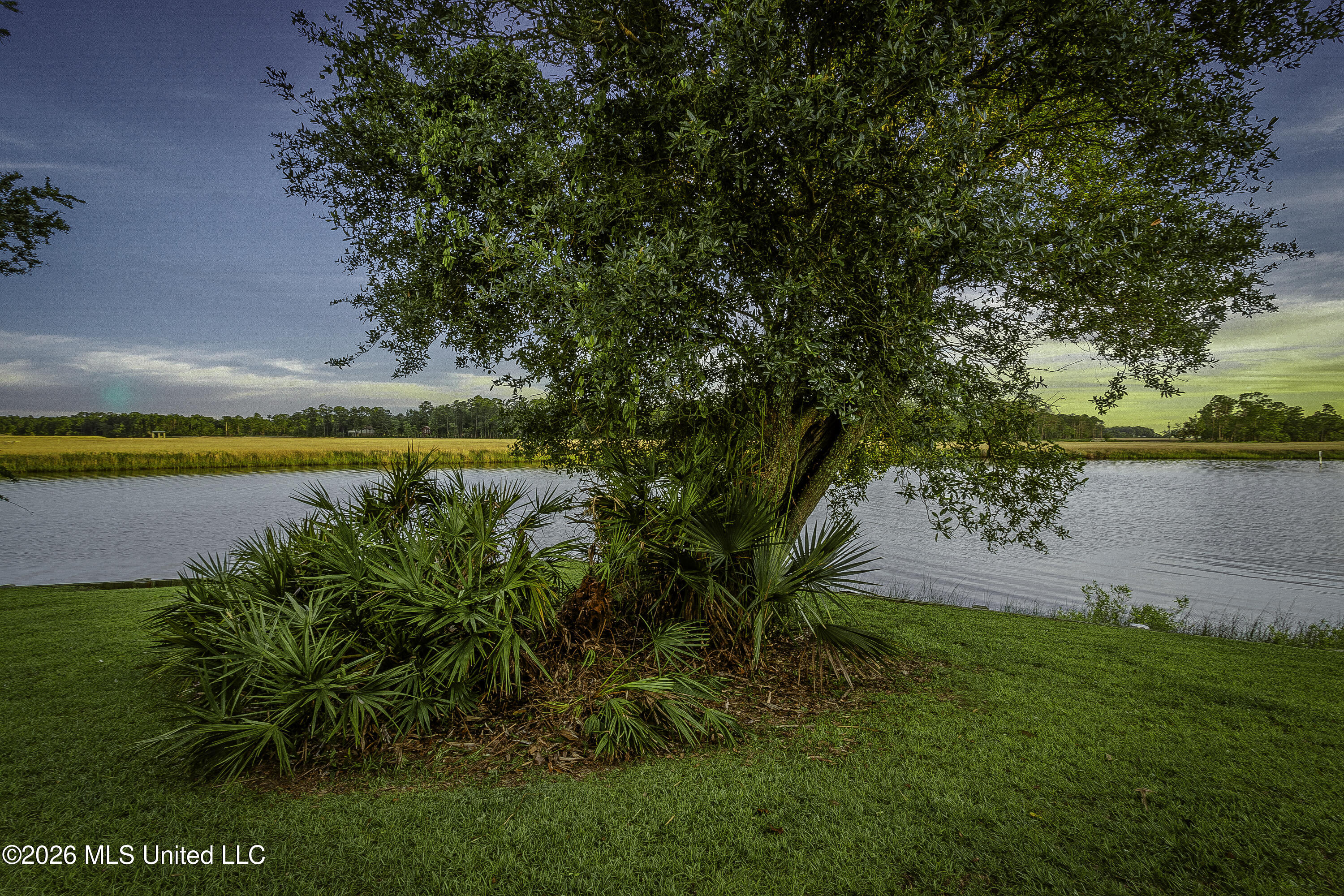 2804 Eagle Pine Drive Property Photo 43