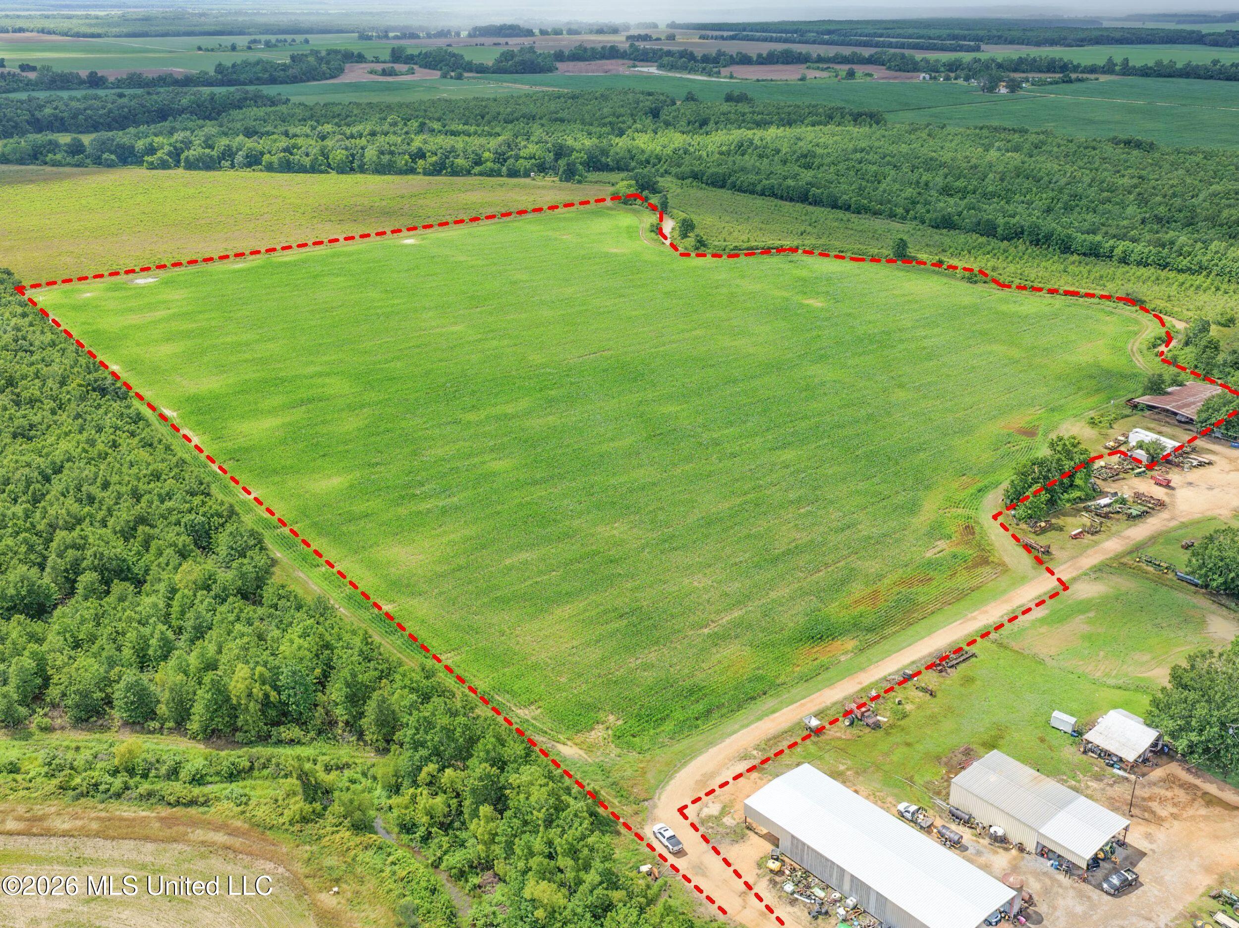 Dummyline Road Property Photo 3