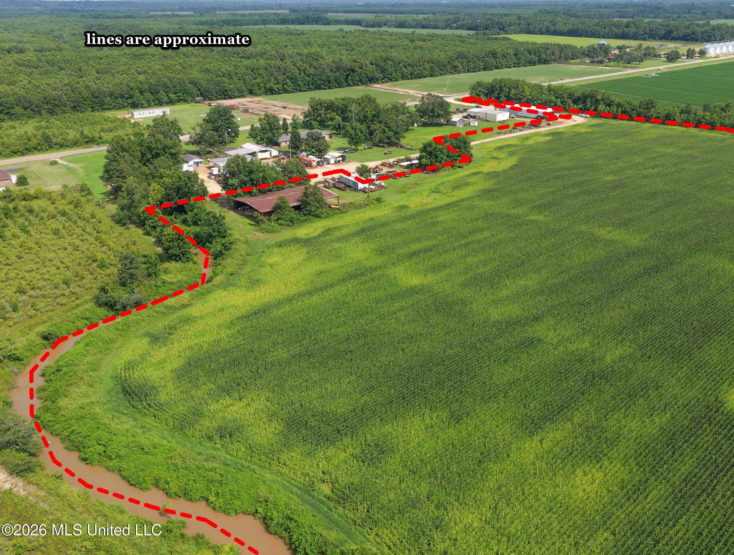 Dummyline Road Property Photo 7