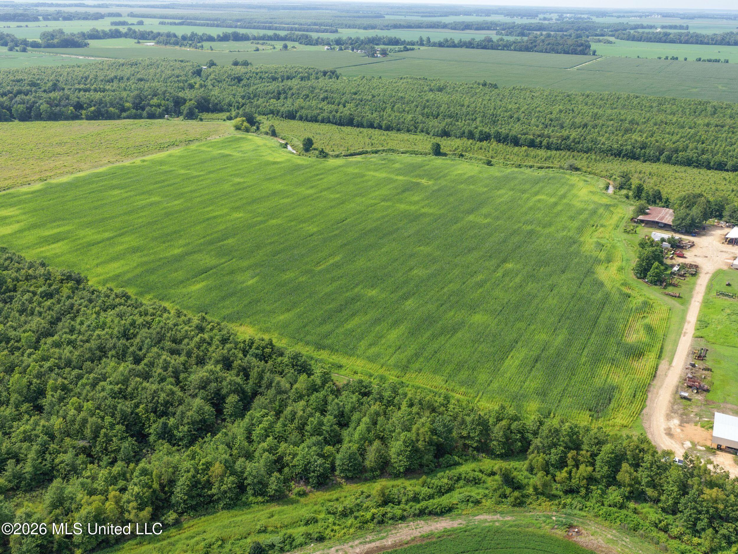Dummyline Road Property Photo 8