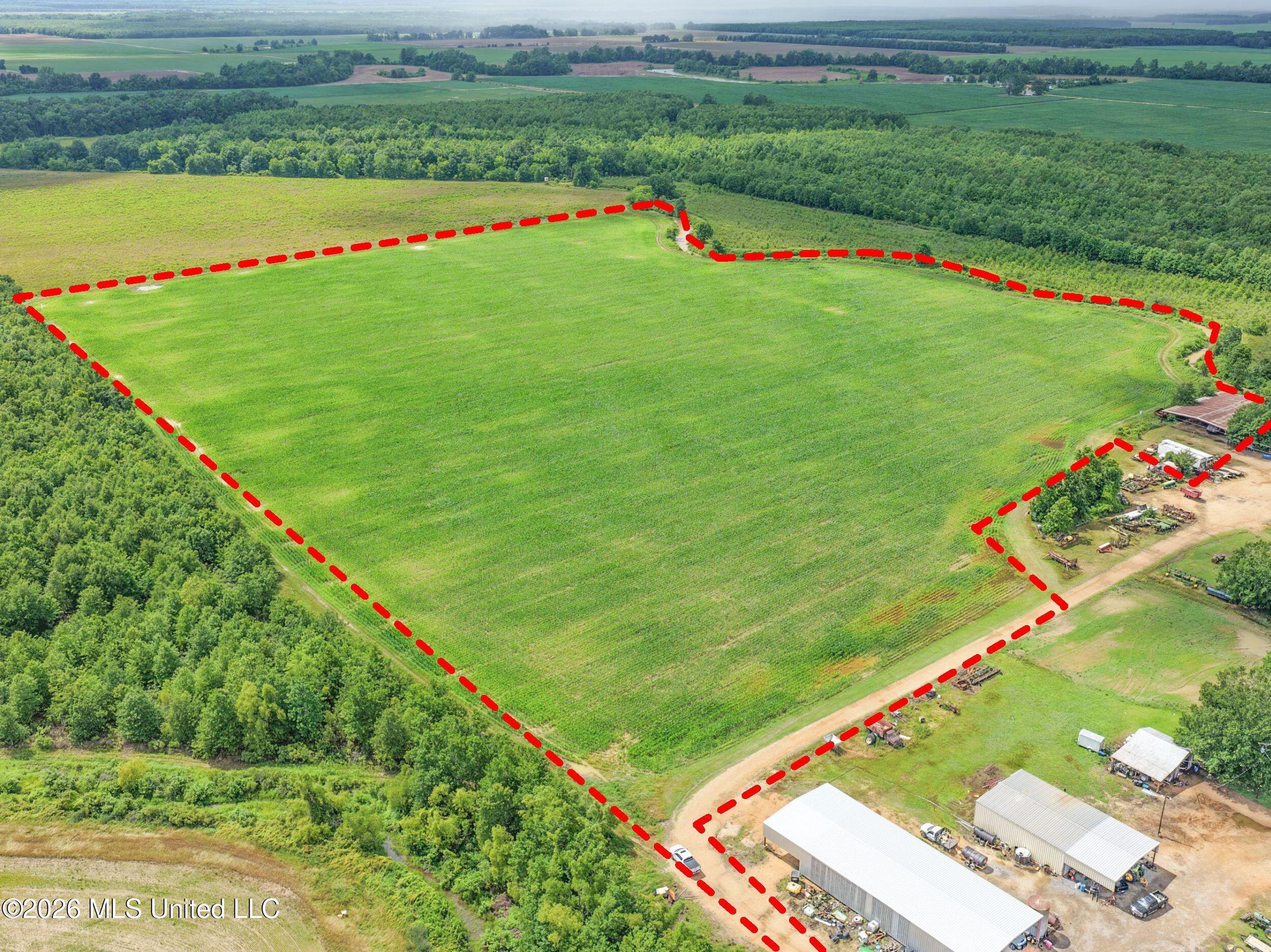 Dummyline Road Property Photo 9