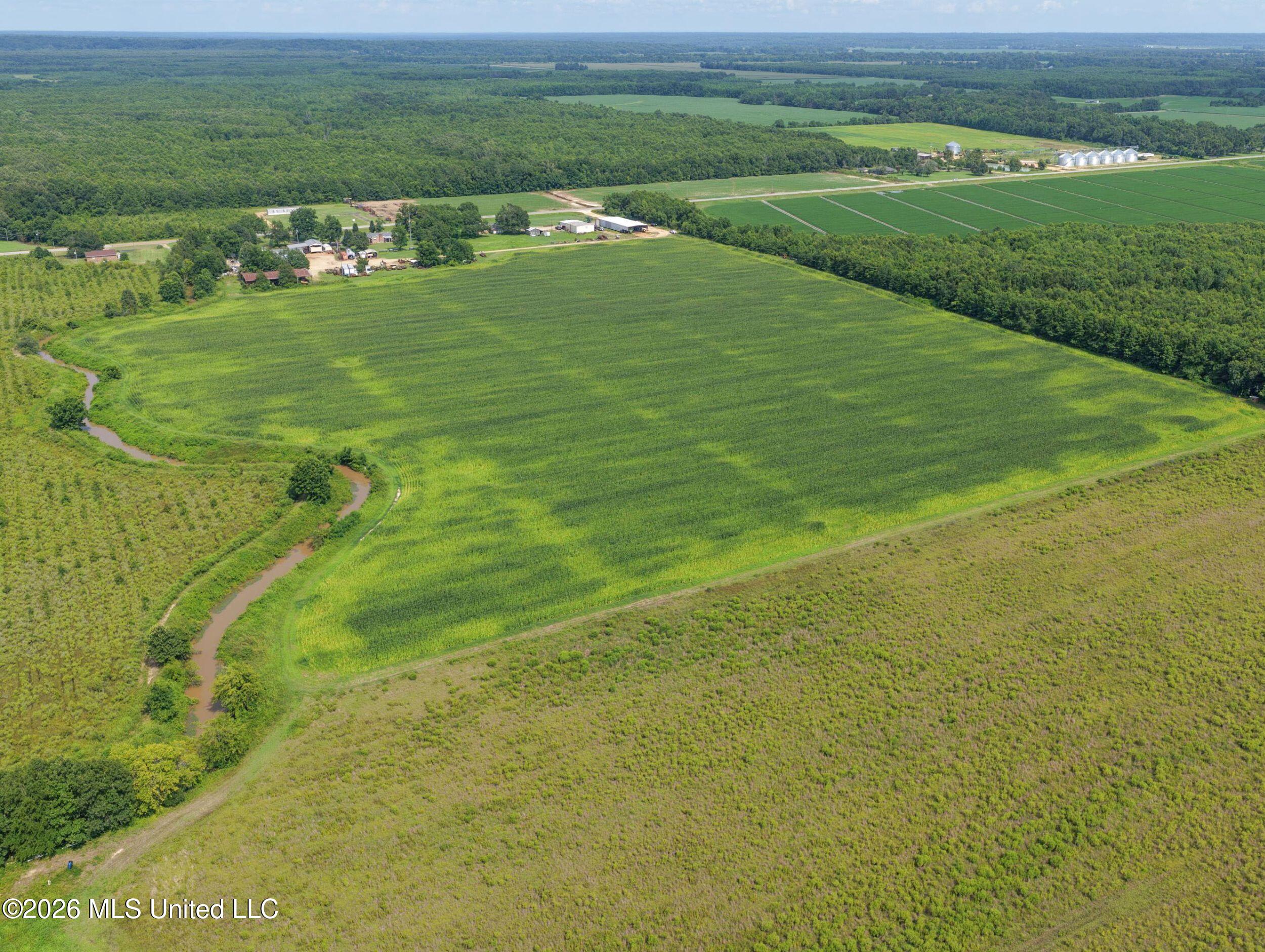 Dummyline Road Property Photo 10