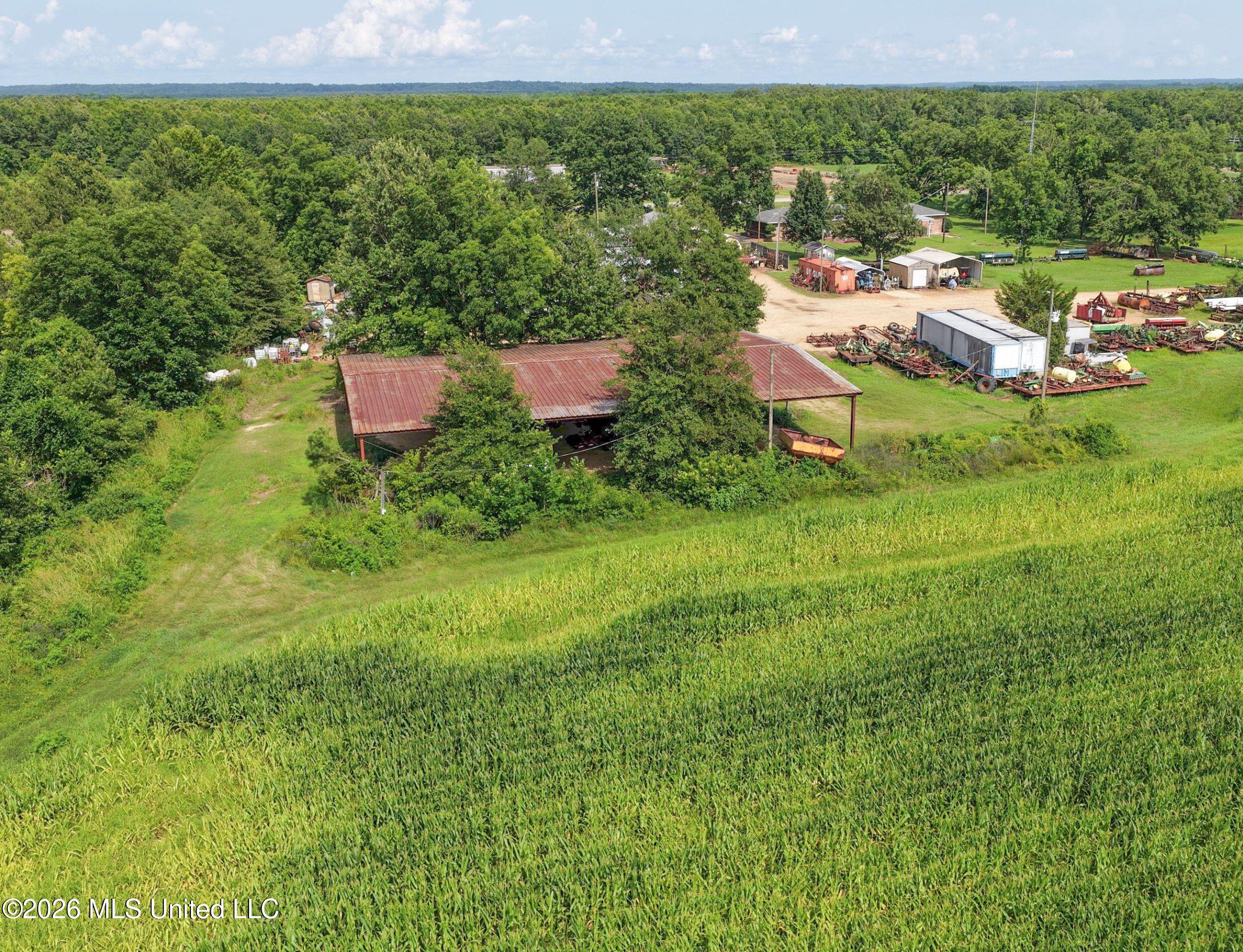 Dummyline Road Property Photo 12