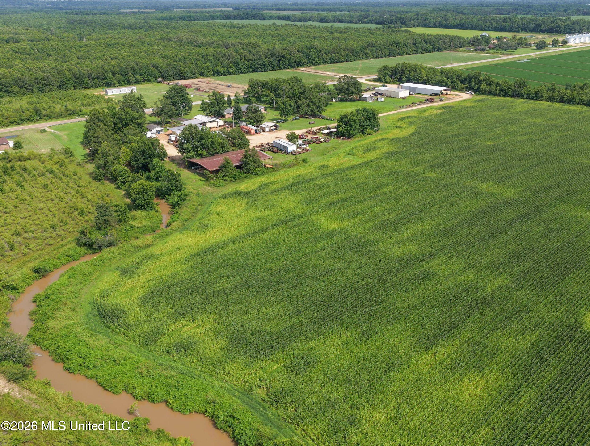 Dummyline Road Property Photo 18