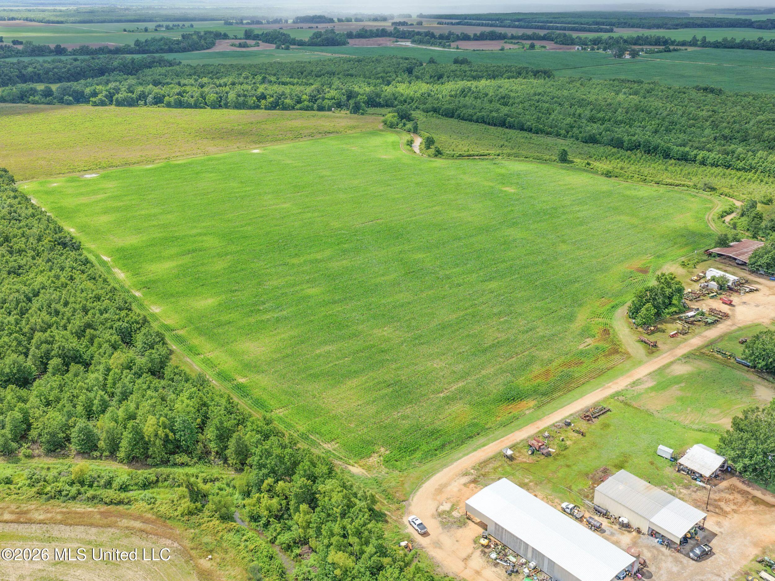 Dummyline Road Property Photo 28