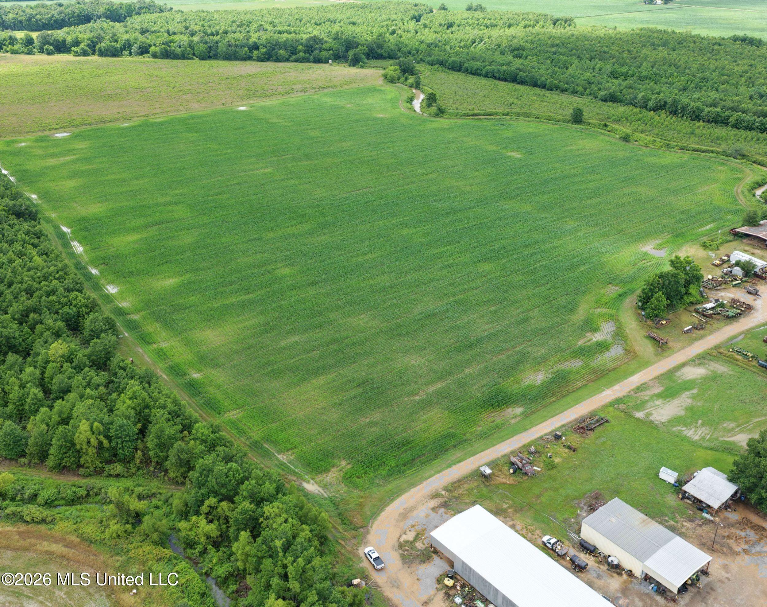 Dummyline Road Property Photo 29