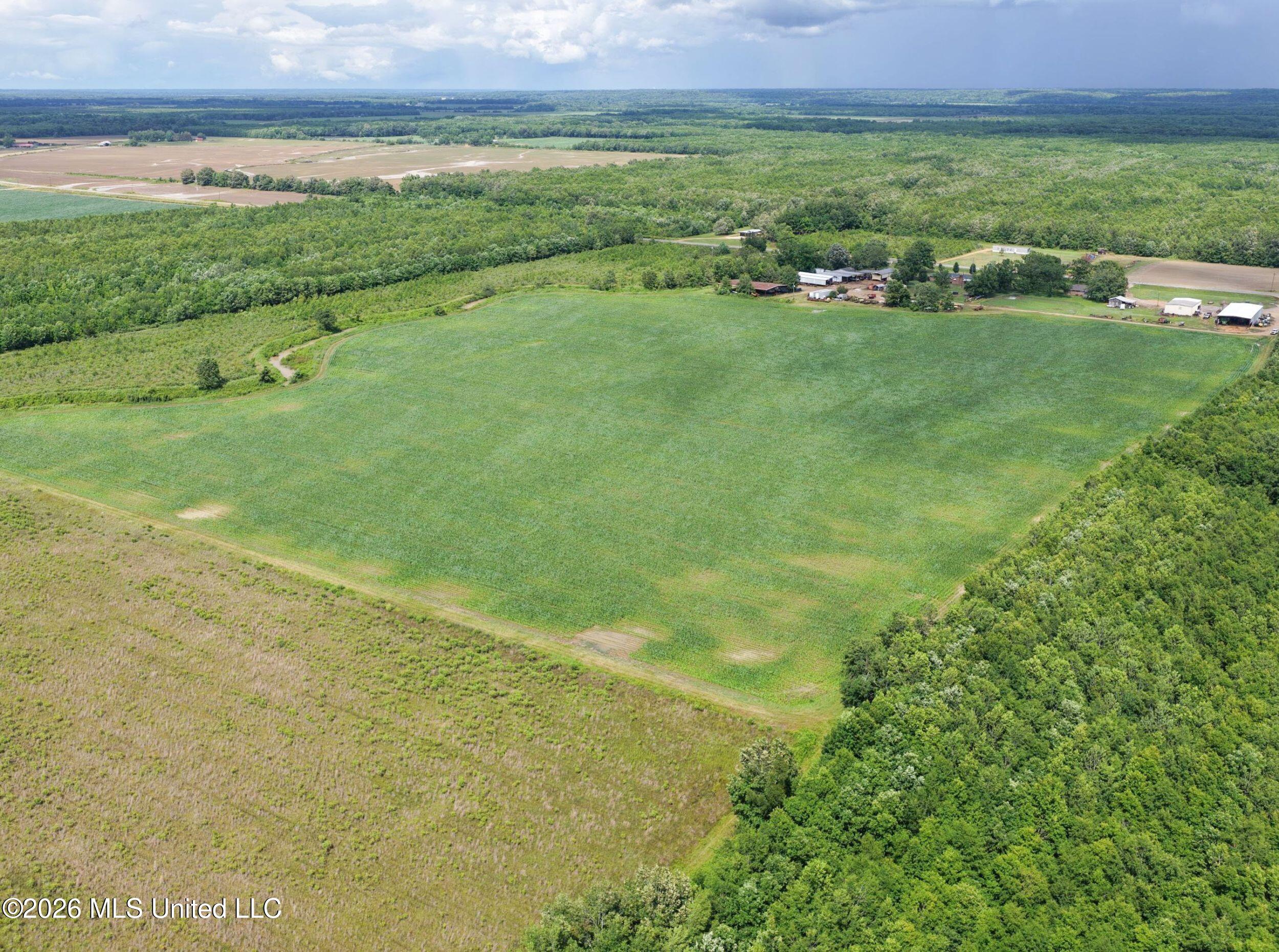 Dummyline Road Property Photo 30