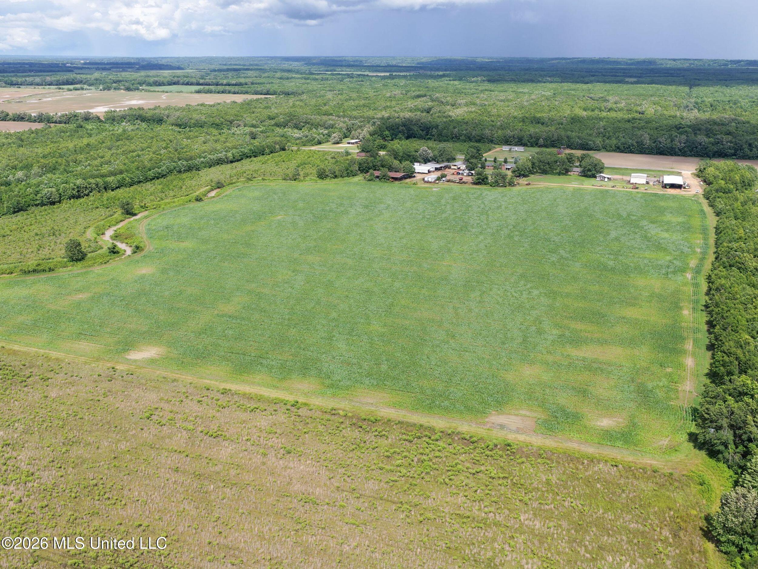 Dummyline Road Property Photo 31
