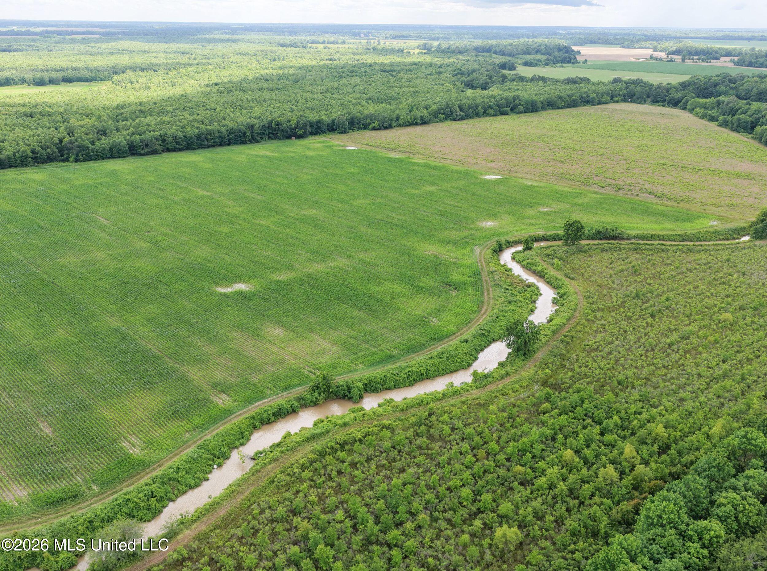 Dummyline Road Property Photo 34