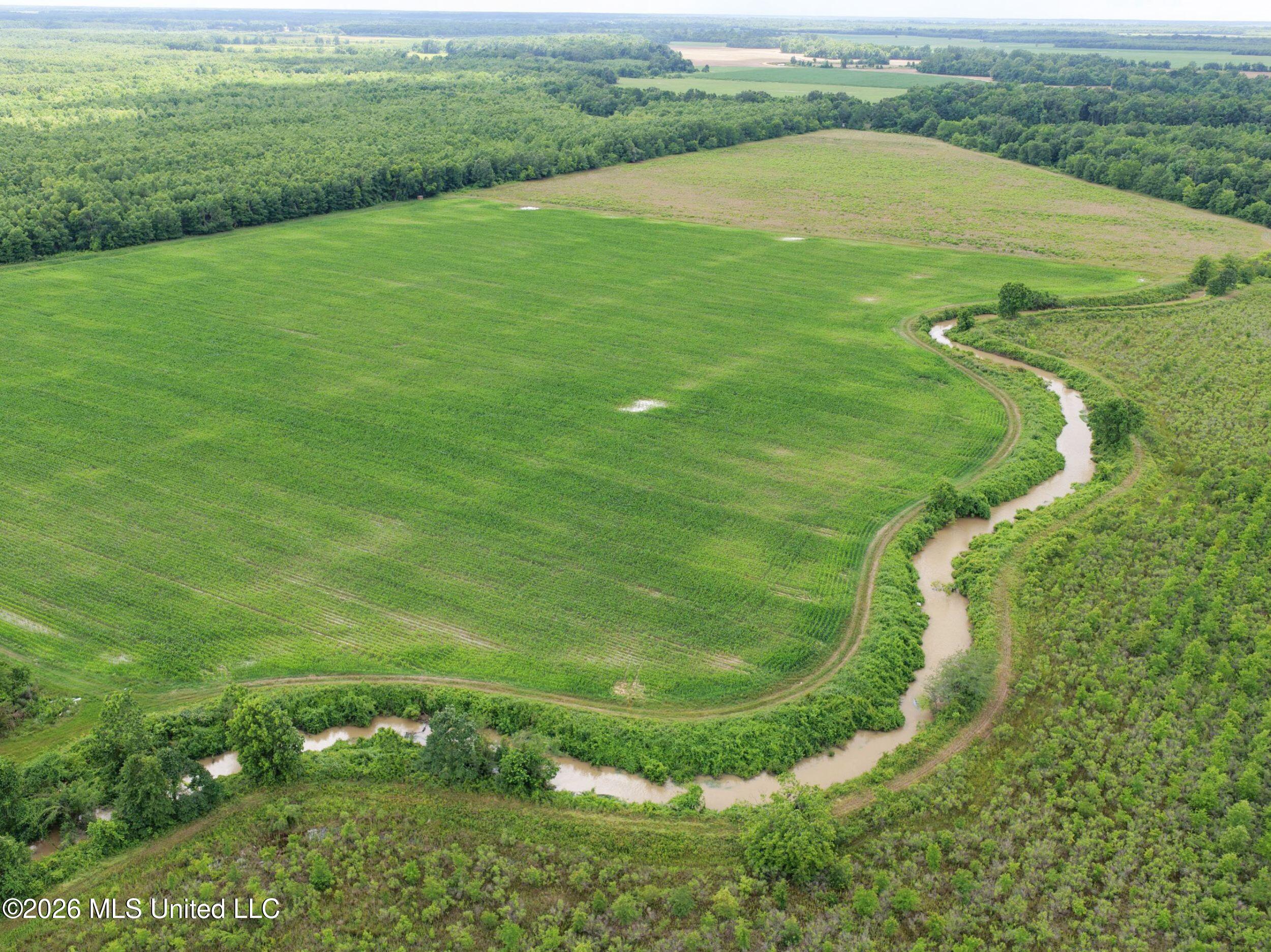 Dummyline Road Property Photo 35