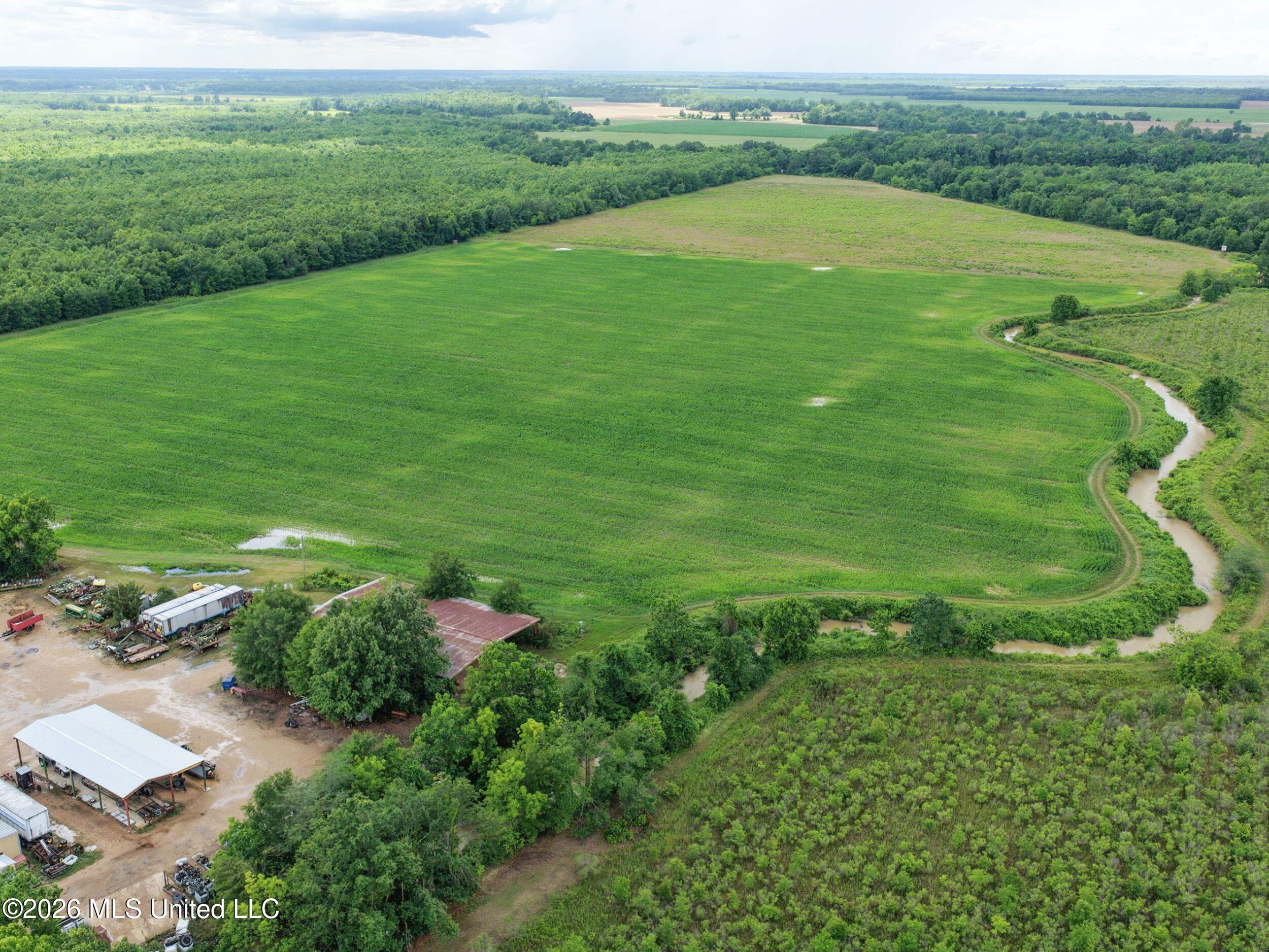 Dummyline Road Property Photo 36