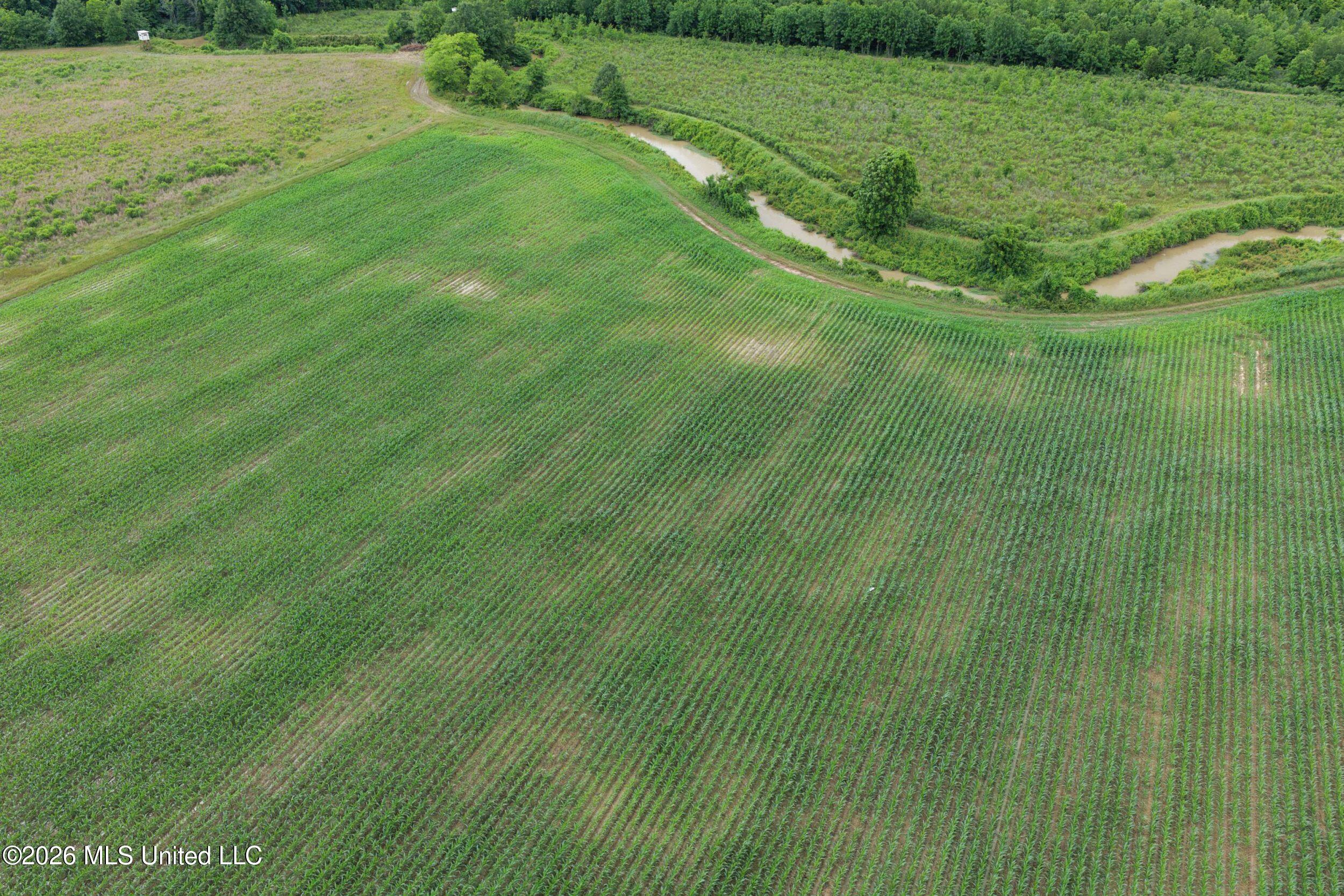 Dummyline Road Property Photo 38