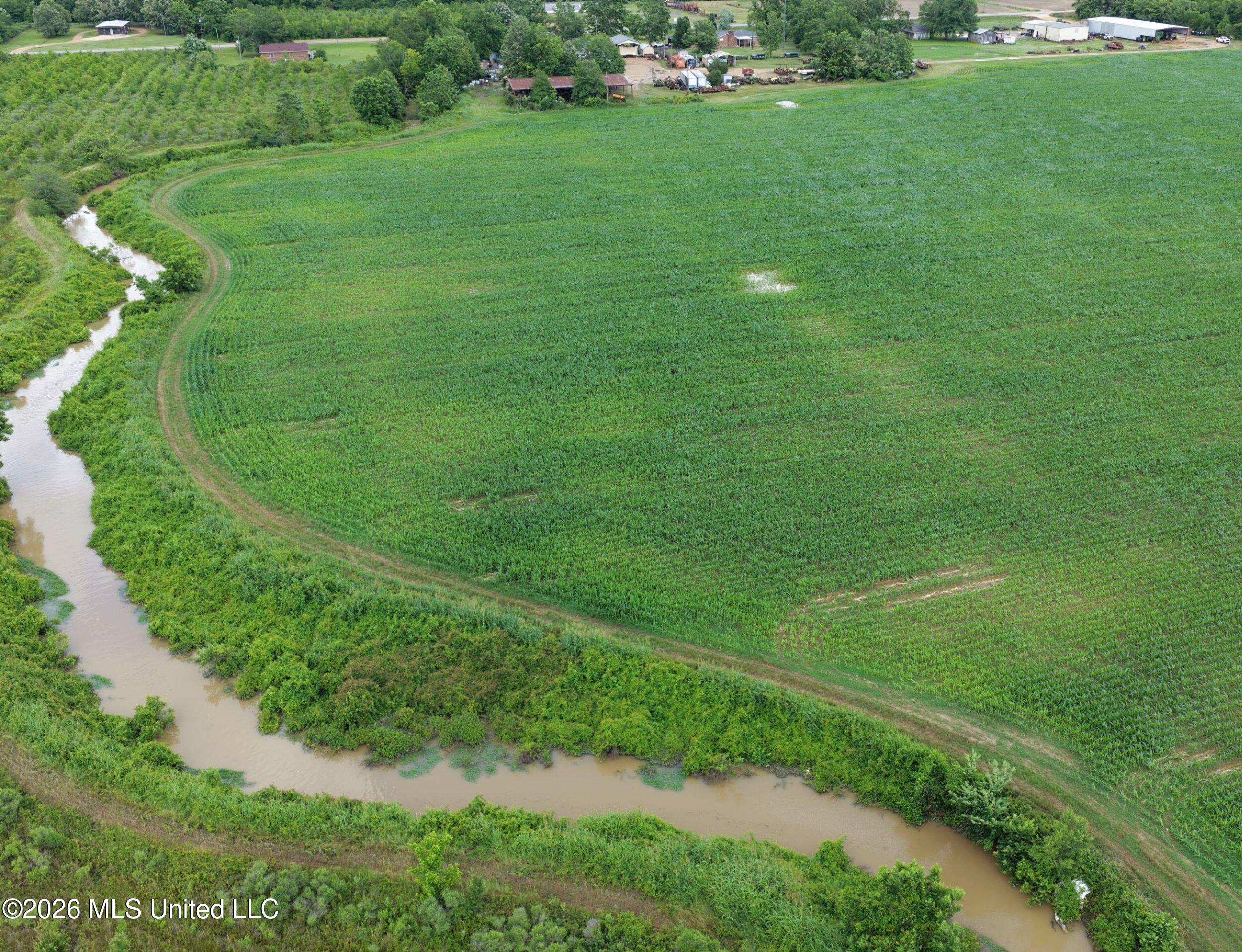 Dummyline Road Property Photo 39