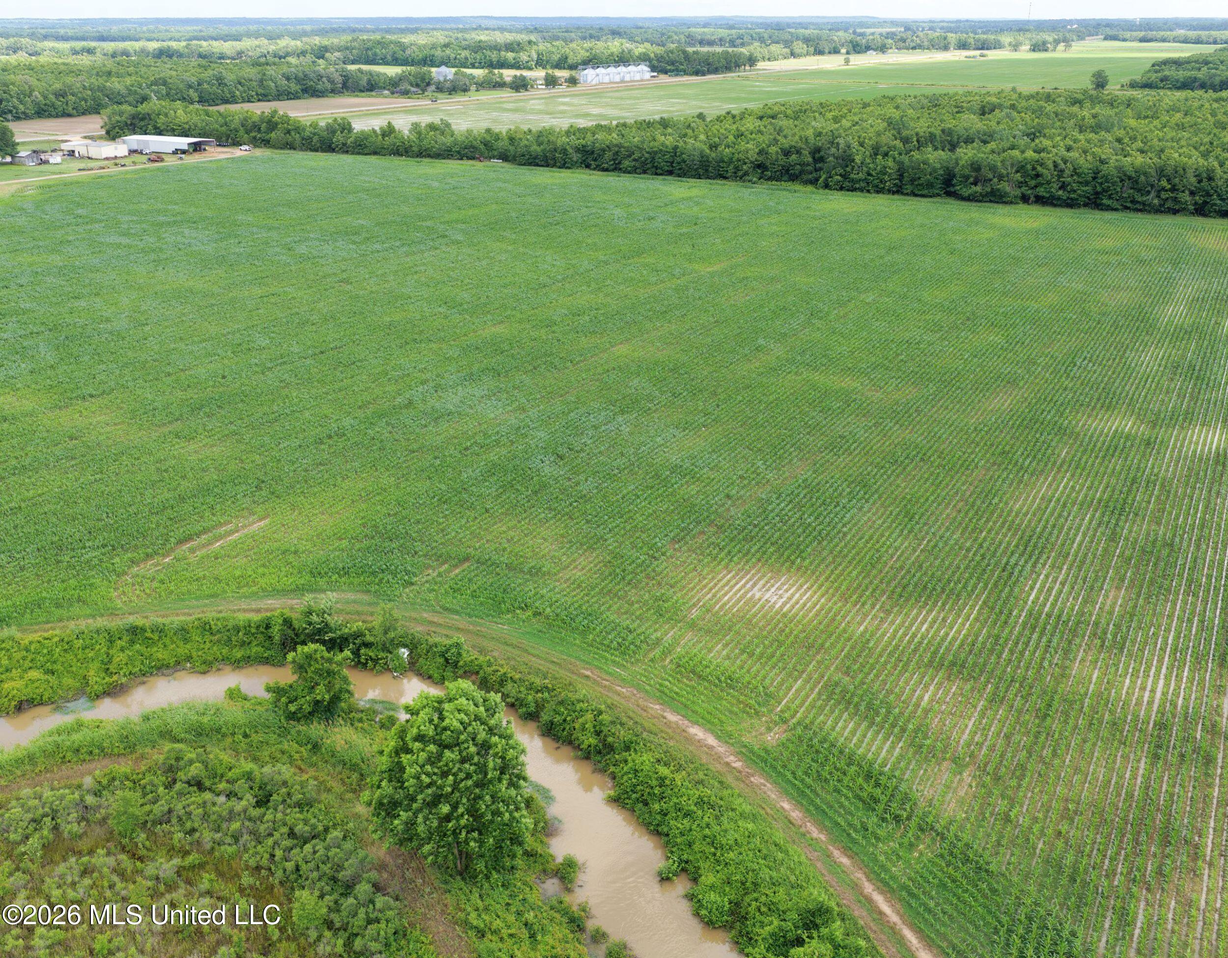 Dummyline Road Property Photo 40