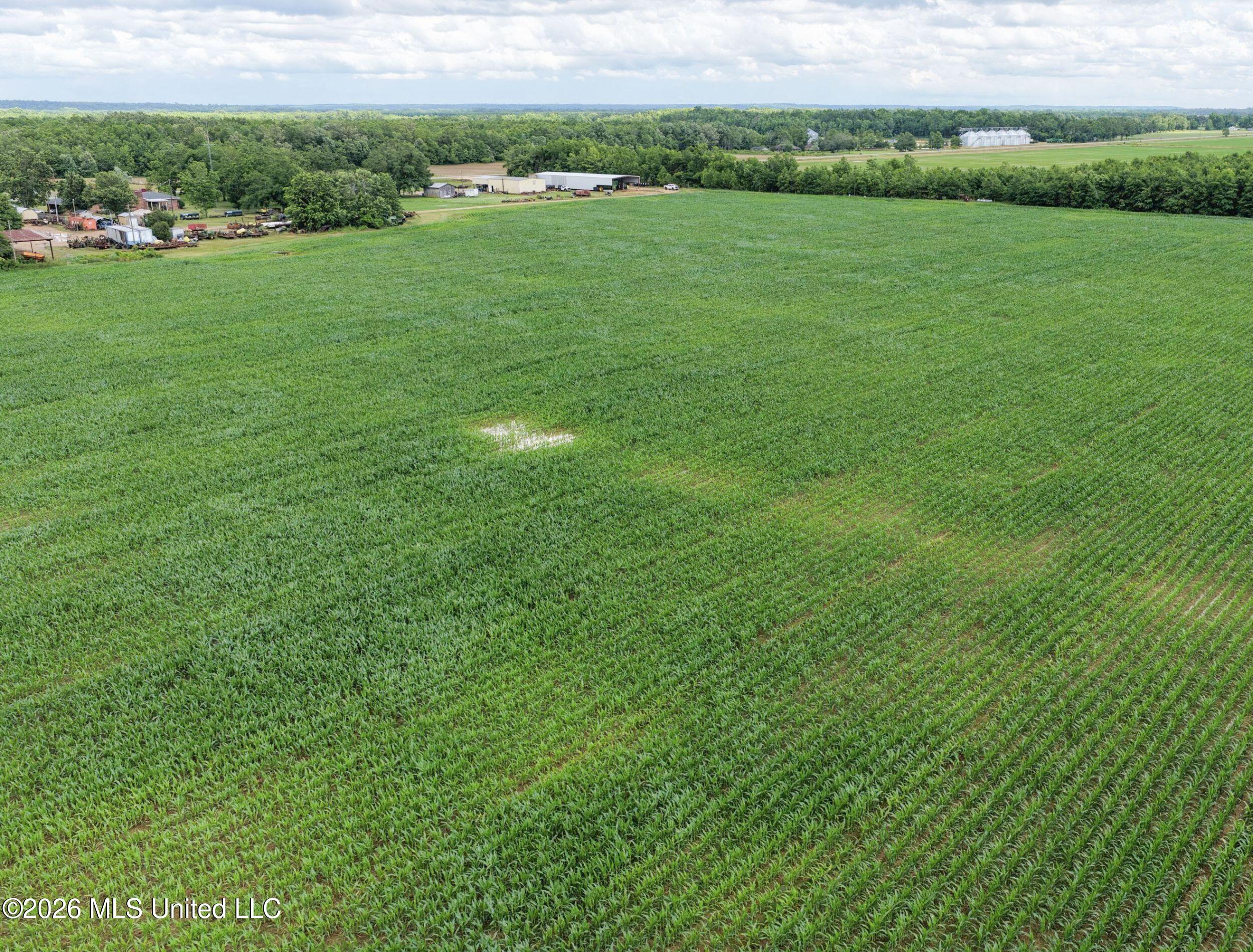 Dummyline Road Property Photo 42