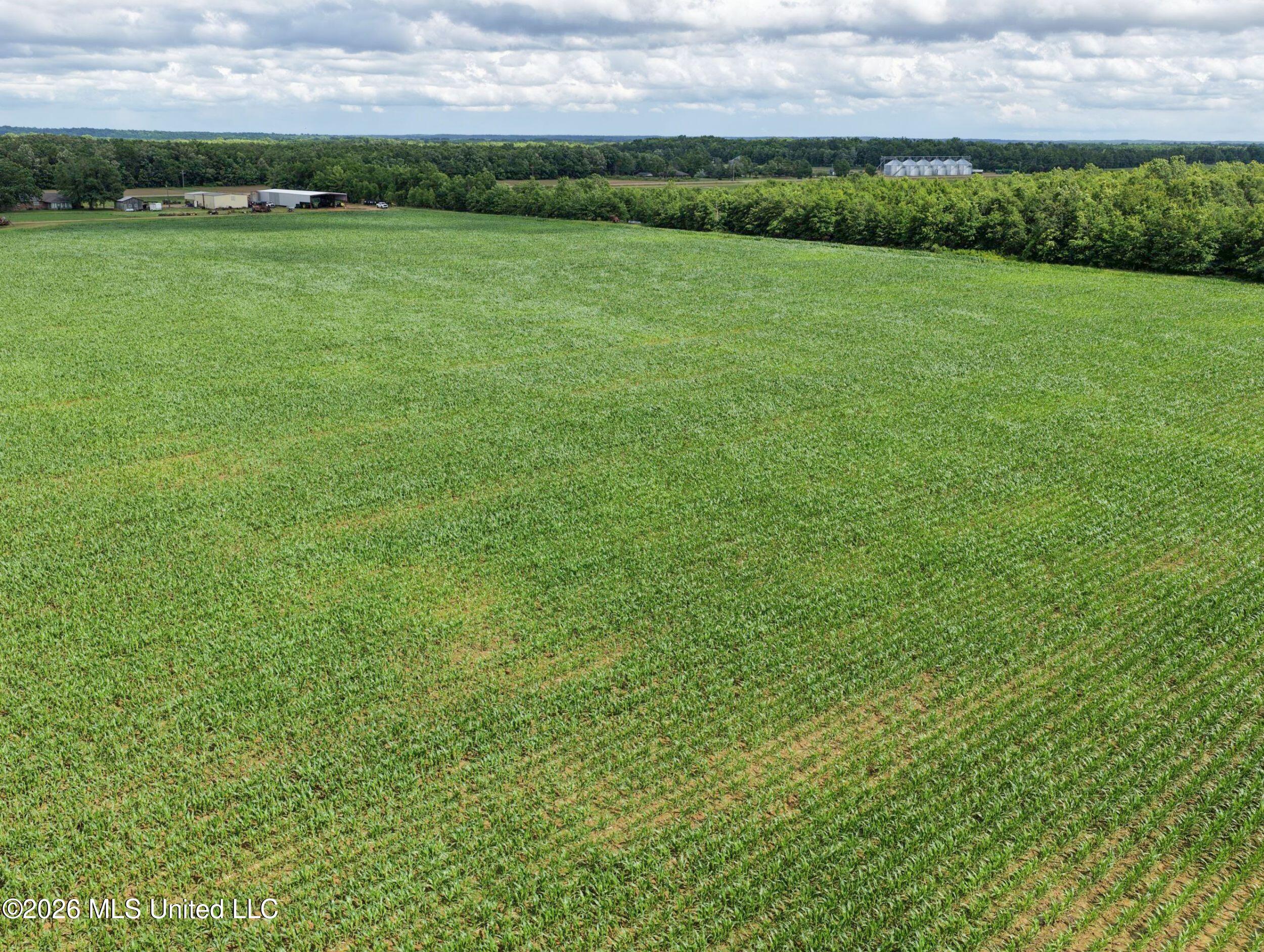 Dummyline Road Property Photo 43