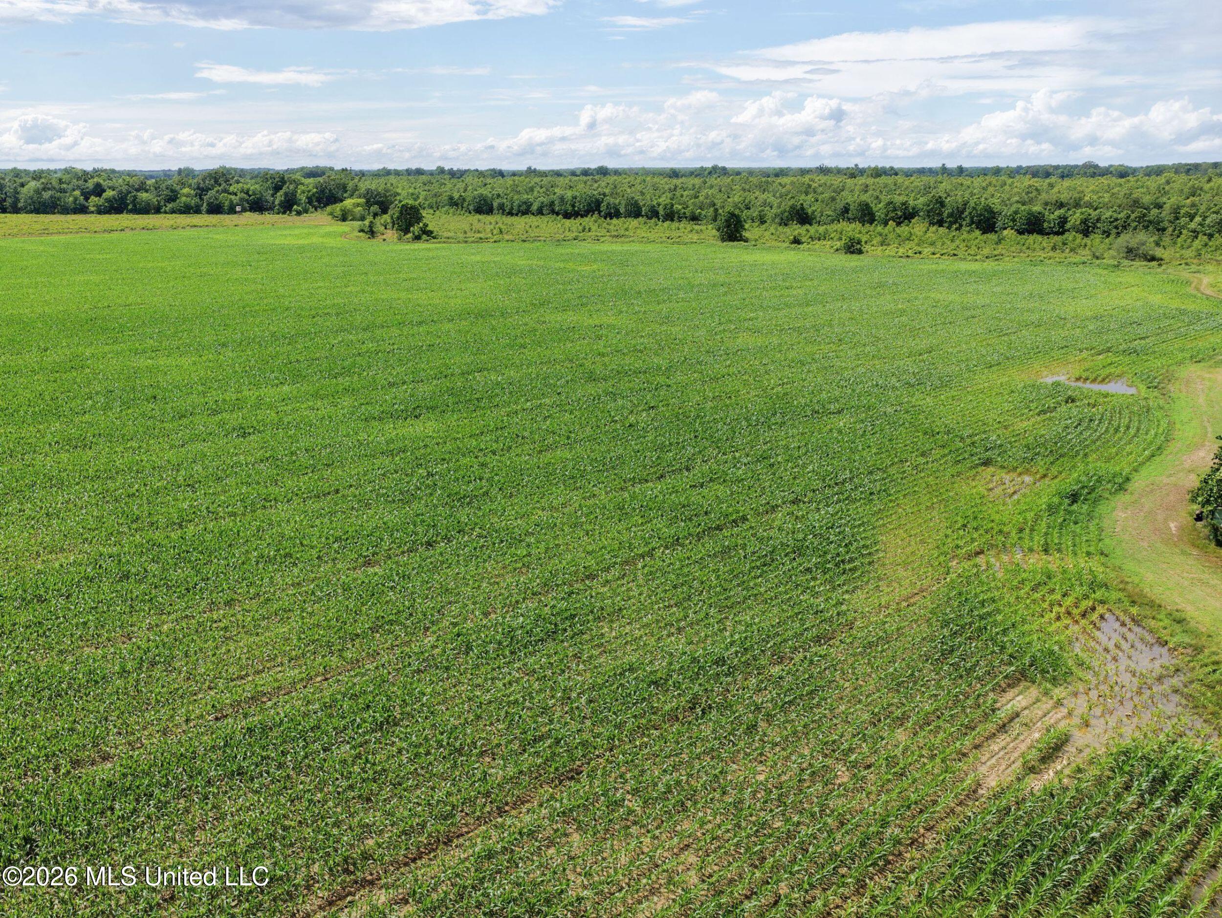 Dummyline Road Property Photo 44