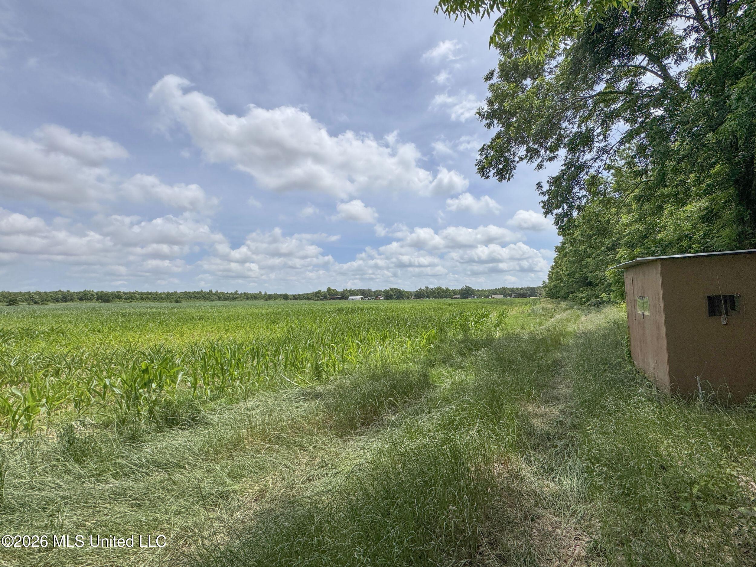 Dummyline Road Property Photo 48