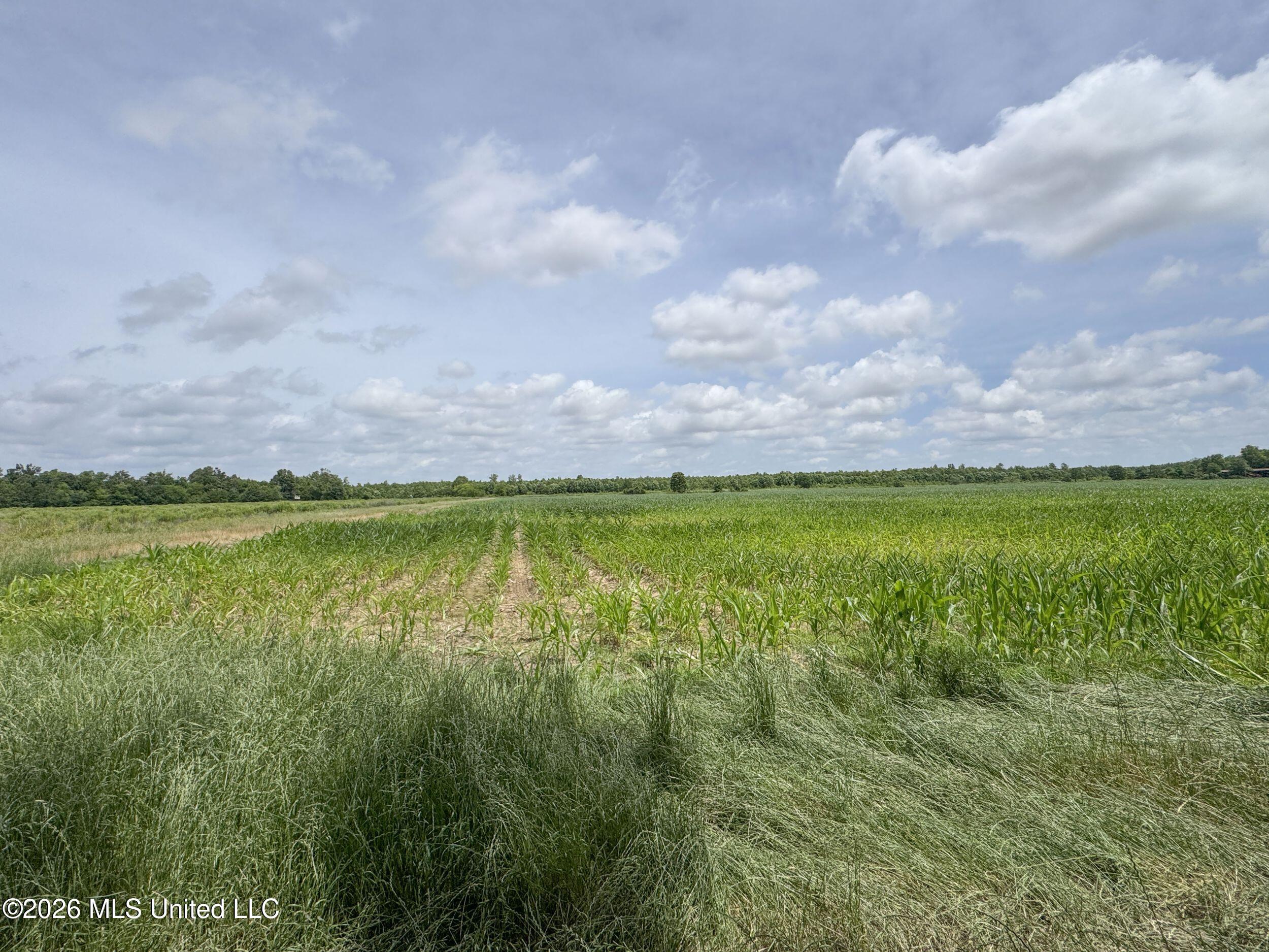Dummyline Road Property Photo 49