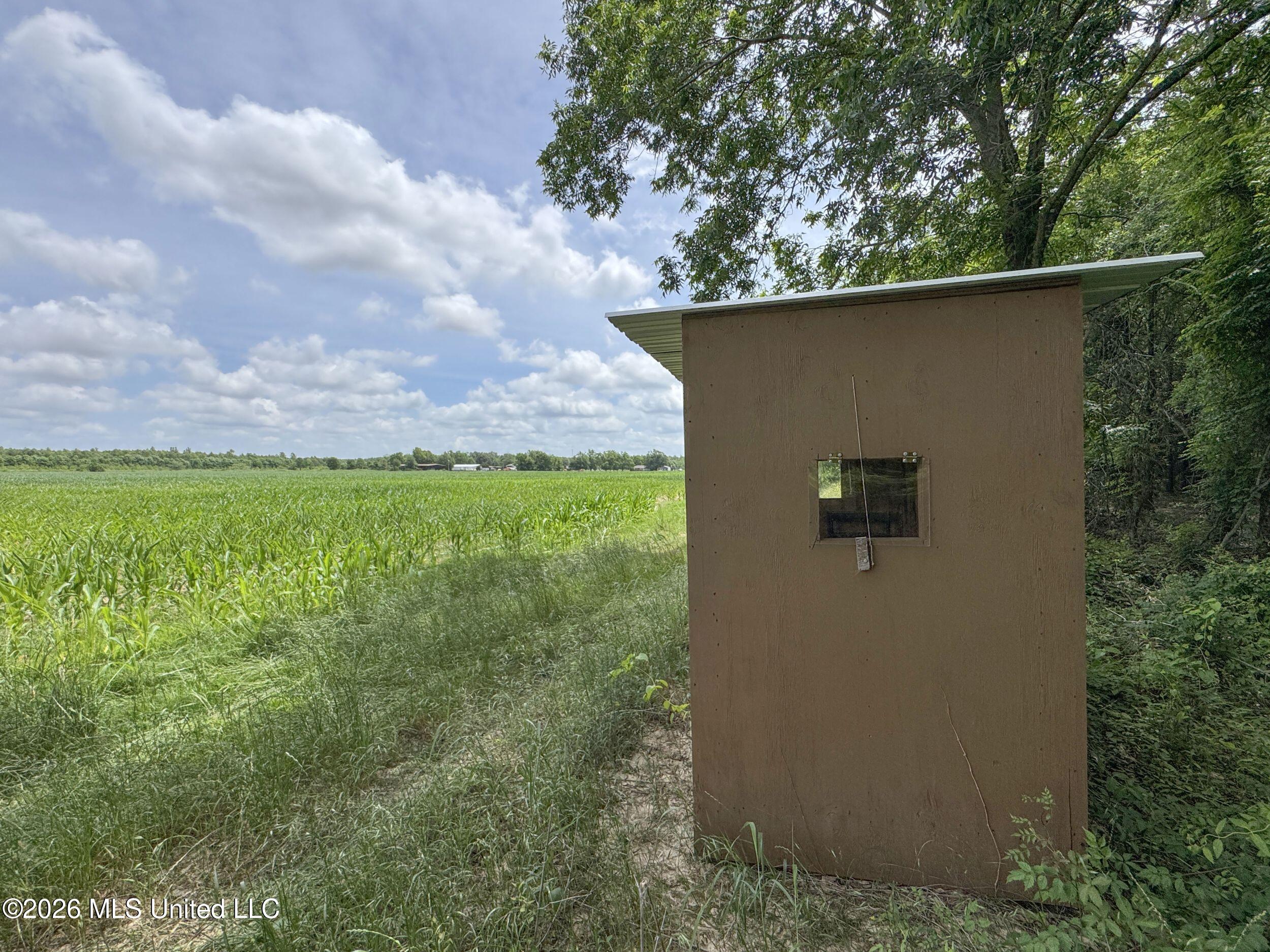 Dummyline Road Property Photo 50