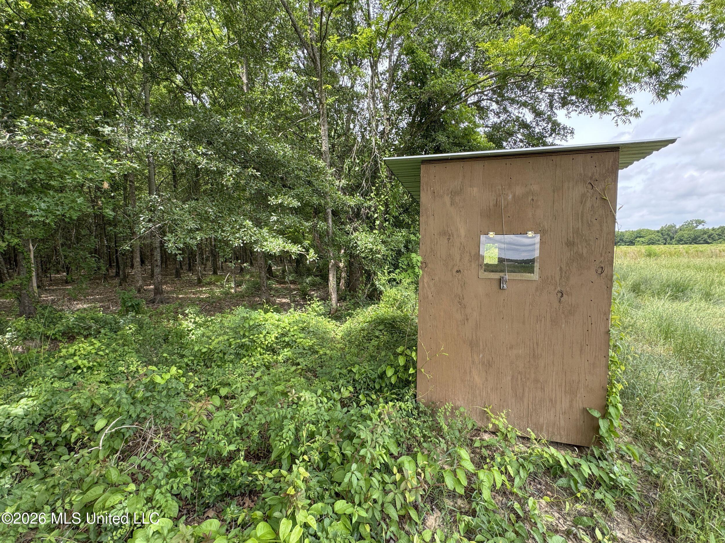 Dummyline Road Property Photo 51