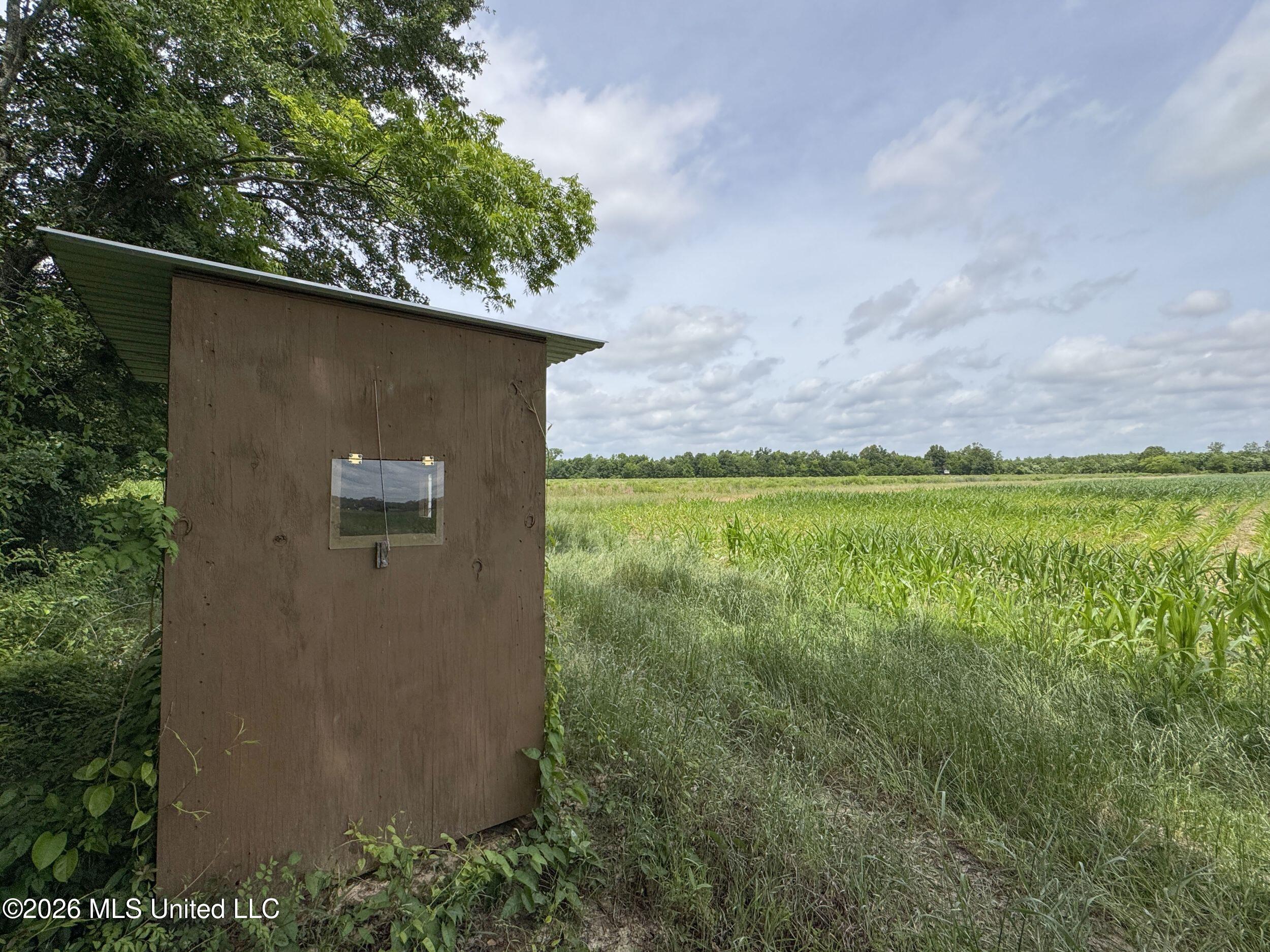 Dummyline Road Property Photo 52