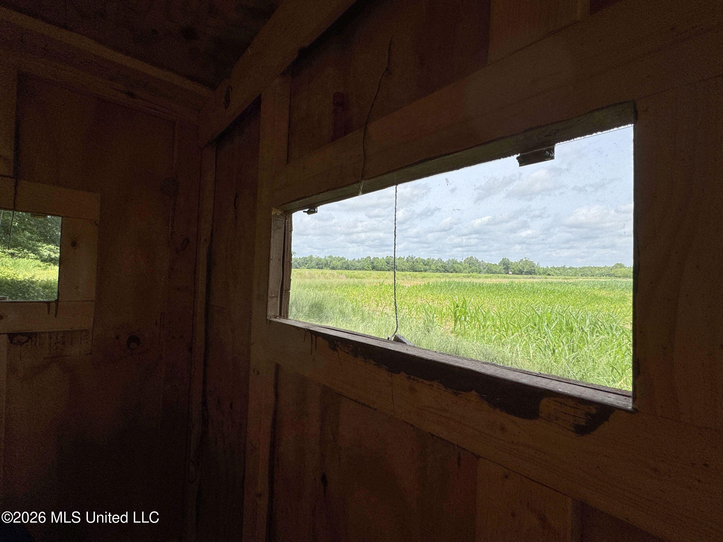 Dummyline Road Property Photo 54