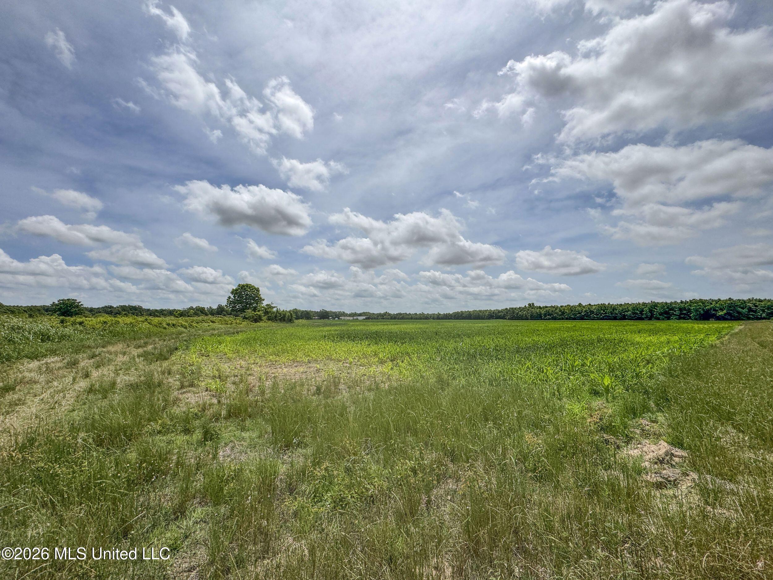 Dummyline Road Property Photo 55