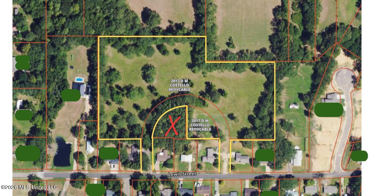 Lewis Street Property Photo 4