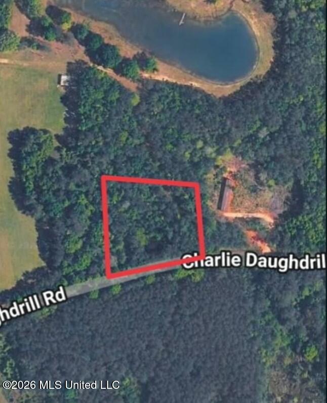 1 Acre Charlie Daughdrill Road Property Photo 1
