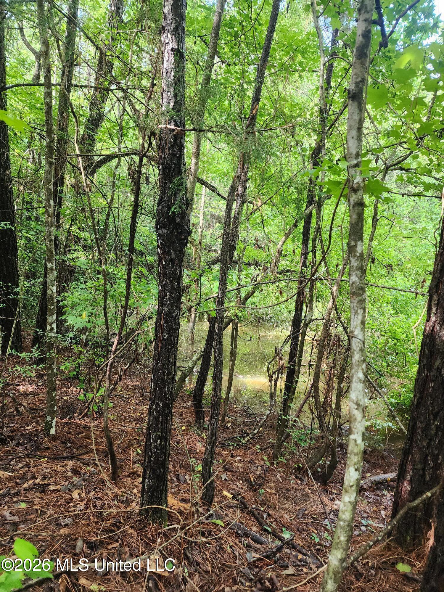 1 Acre Charlie Daughdrill Road Property Photo 2