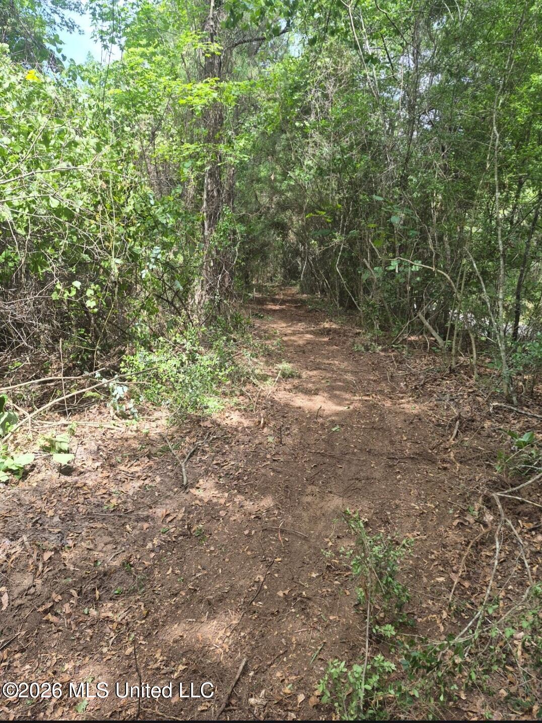 1 Acre Charlie Daughdrill Road Property Photo 3
