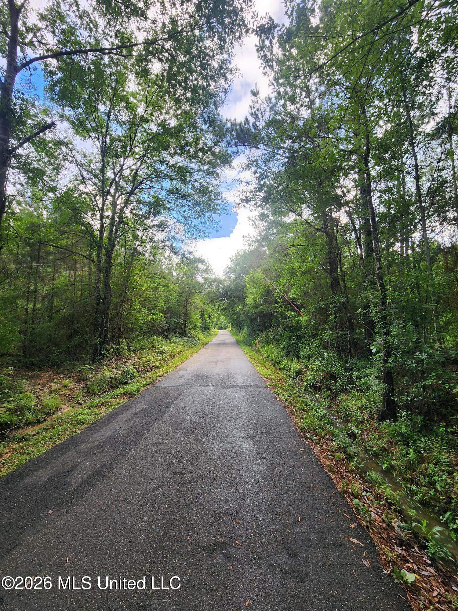 1 Acre Charlie Daughdrill Road Property Photo 4